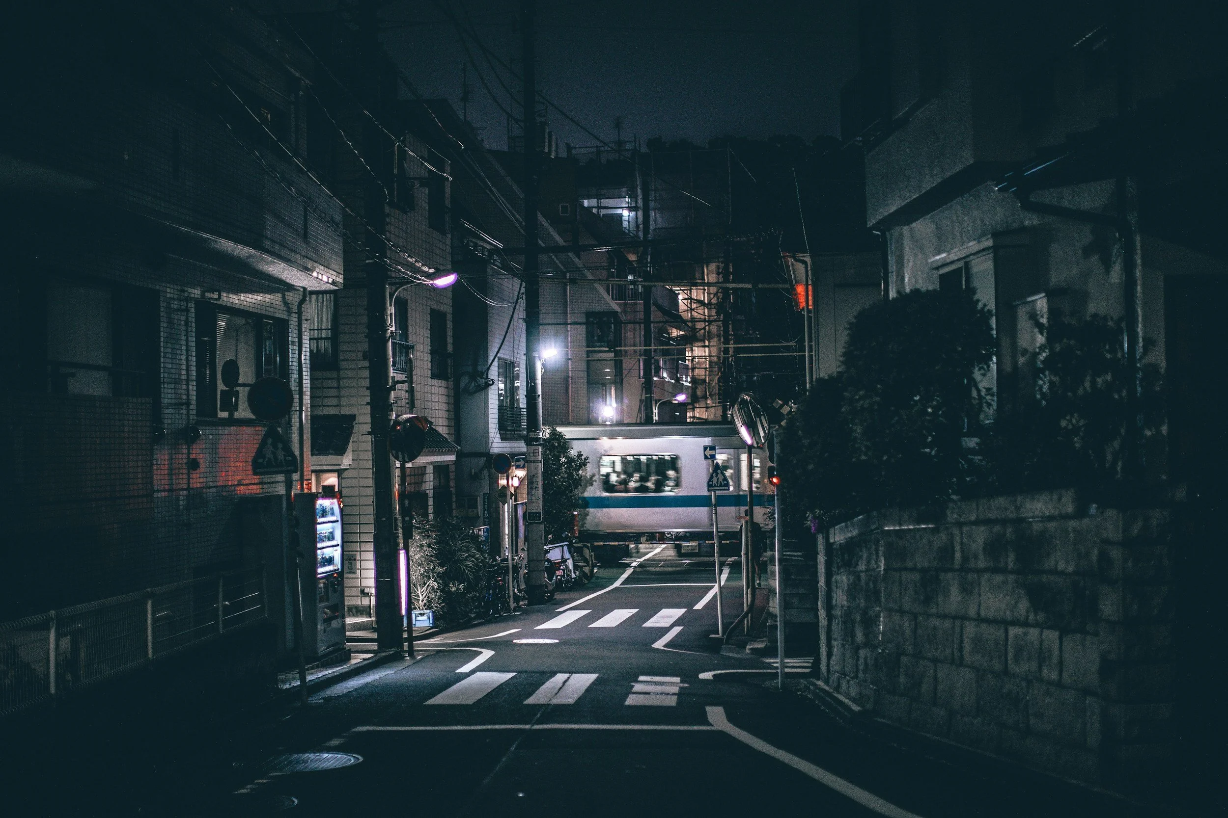 Reawakening Between Worlds