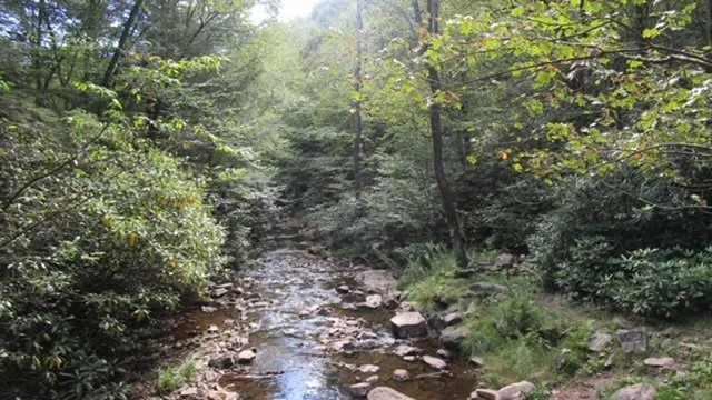 IMG_1236.JPG