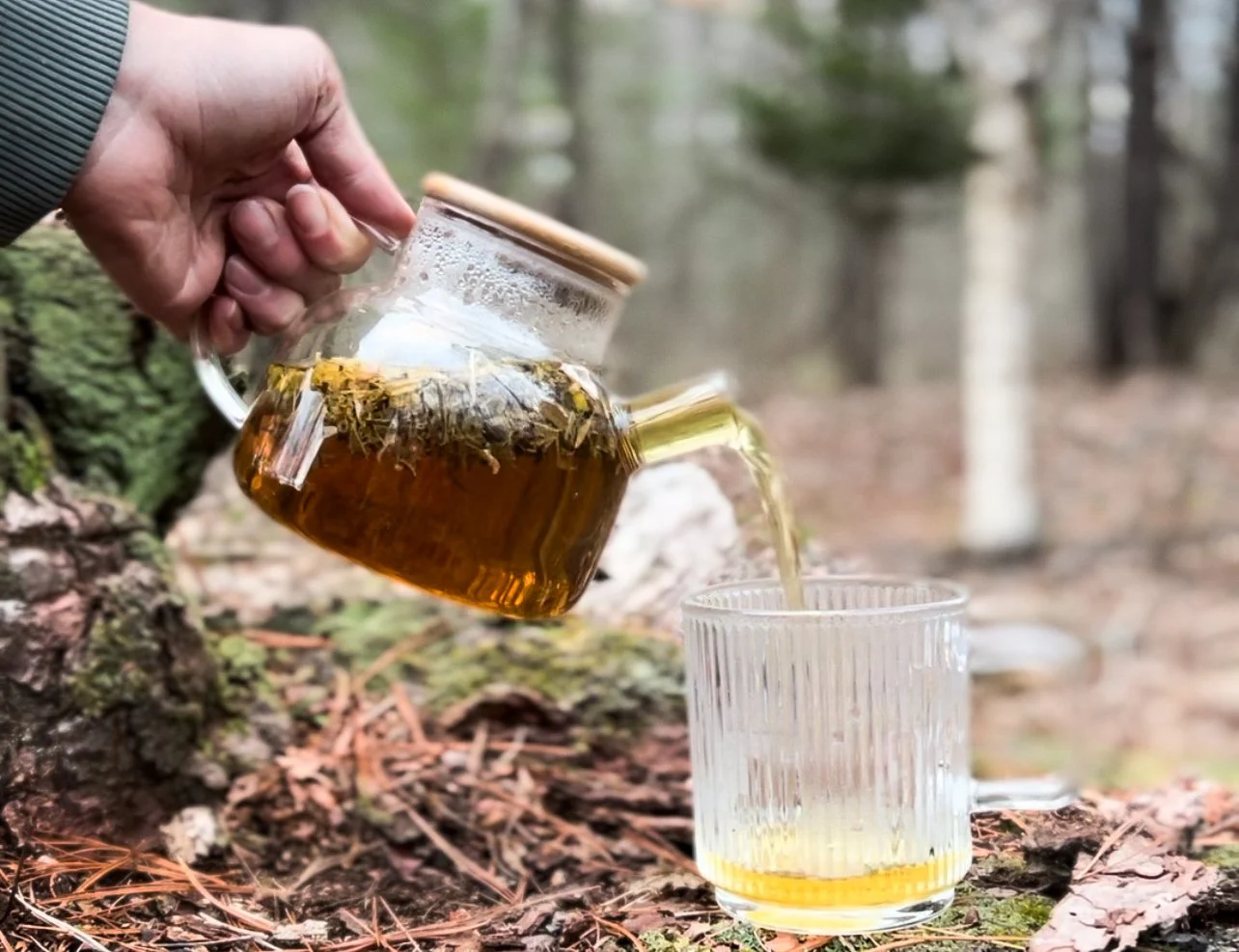 Where My Tea Herbs Come From—and Why It Matters