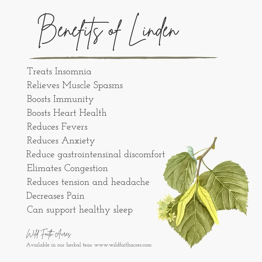Have you ever heard of linden?

It&rsquo;s one of my favorite herbs&mdash;gentle, floral, and made from the blossoms of a tree that&rsquo;s been used for generations.

Linden is known for its ability to calm the nervous system, reduce tension, and su