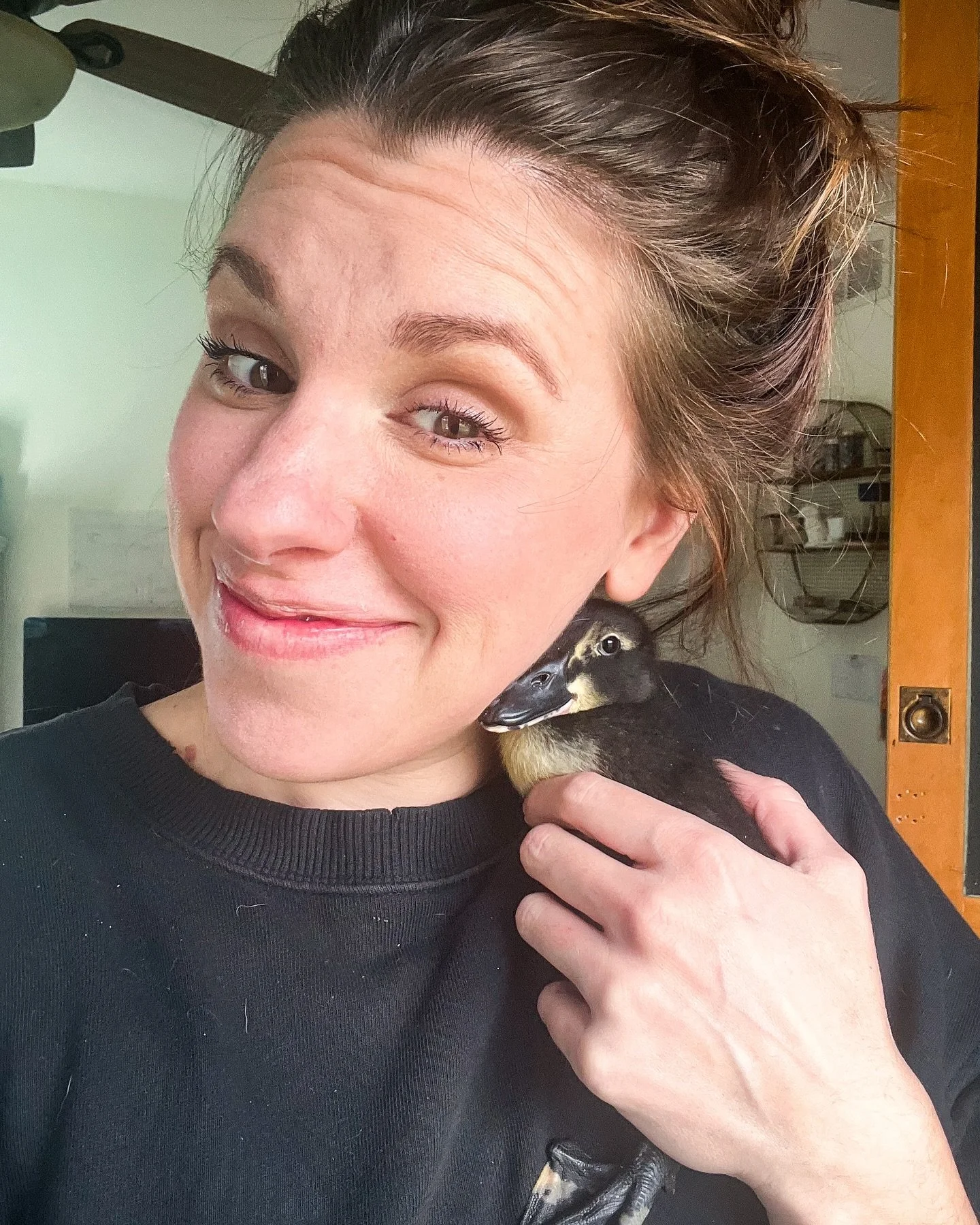 Not a Coachella girl.
Give me forest floors over dance floors, herbal infusions over energy drinks, and garden boots over cowboy boots any day.

I&rsquo;ll be over here at Forestchella&mdash;where the headliner is a hummingbird, the mocktails are ste