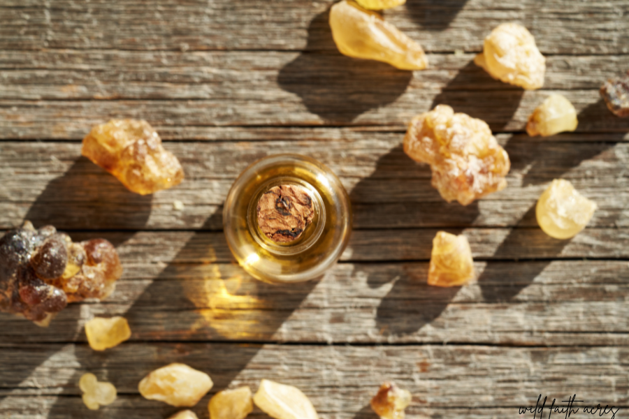 Resins: The Medicine We Forgot