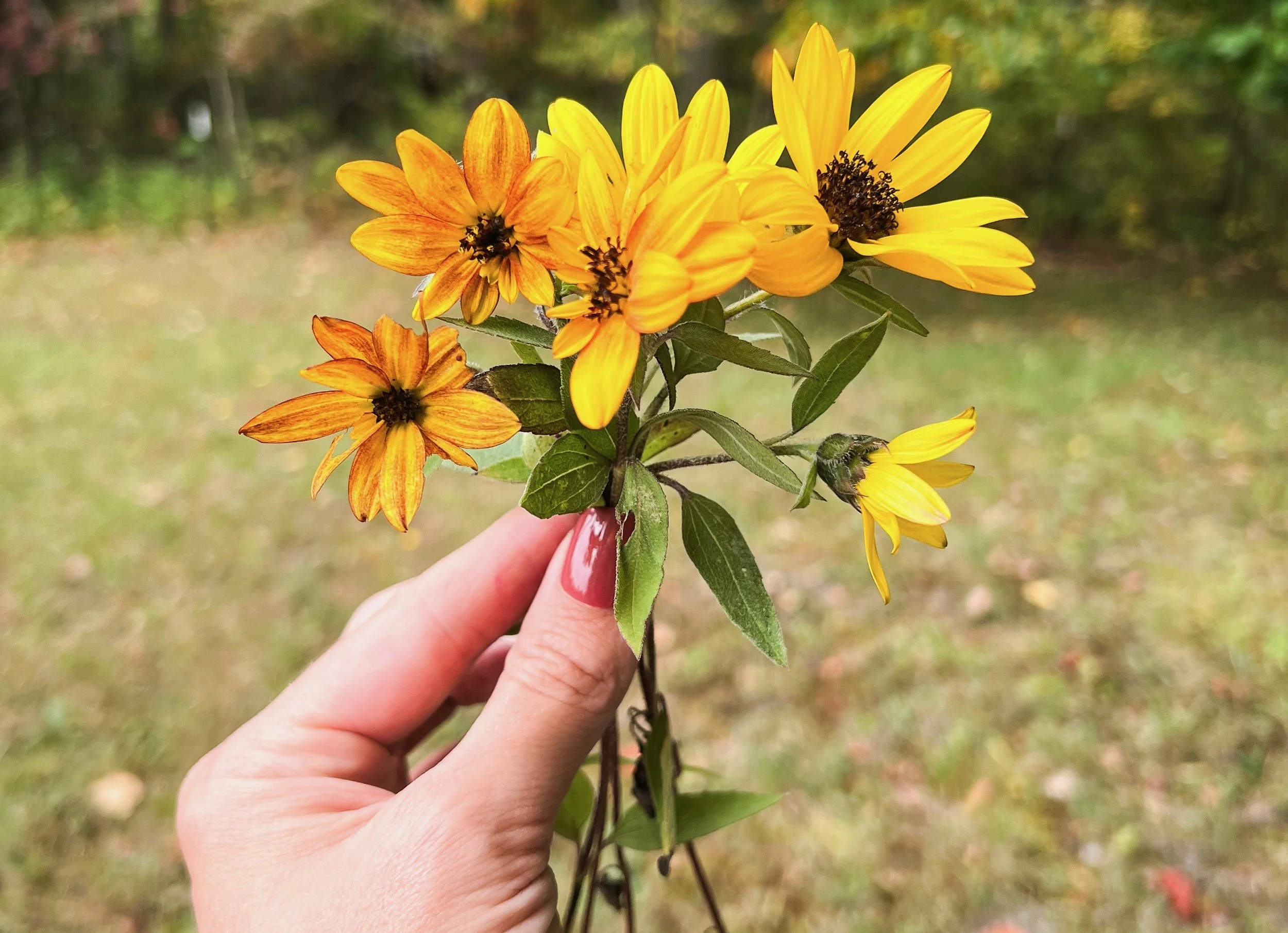 What Harvest Season Teaches Us About God’s Timing