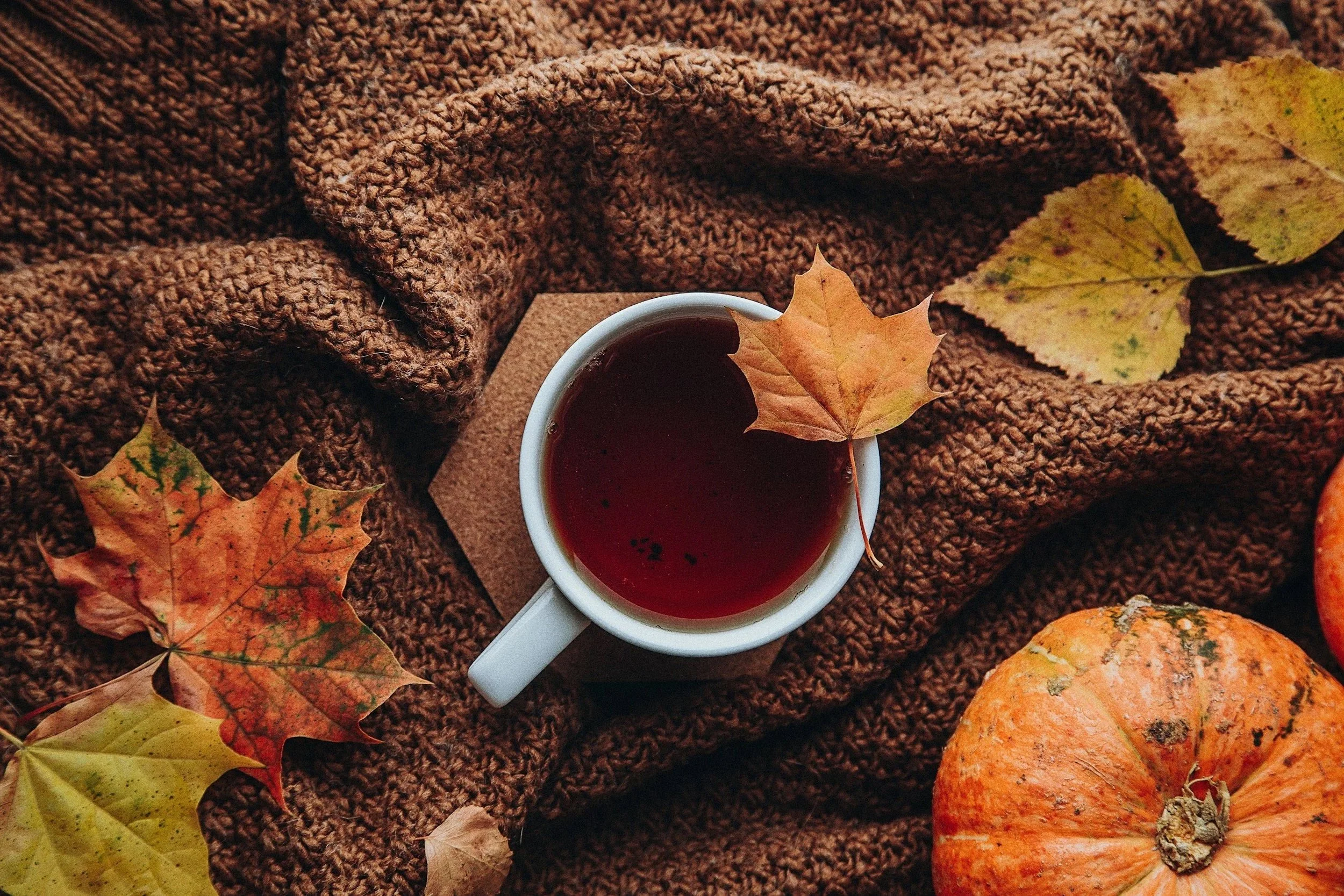 Herbal Comforts for the Coming Fall