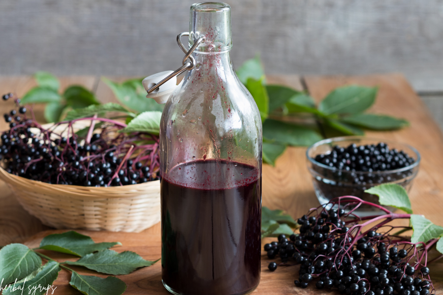 Herbal Syrups: Sweet Medicine for Every Season