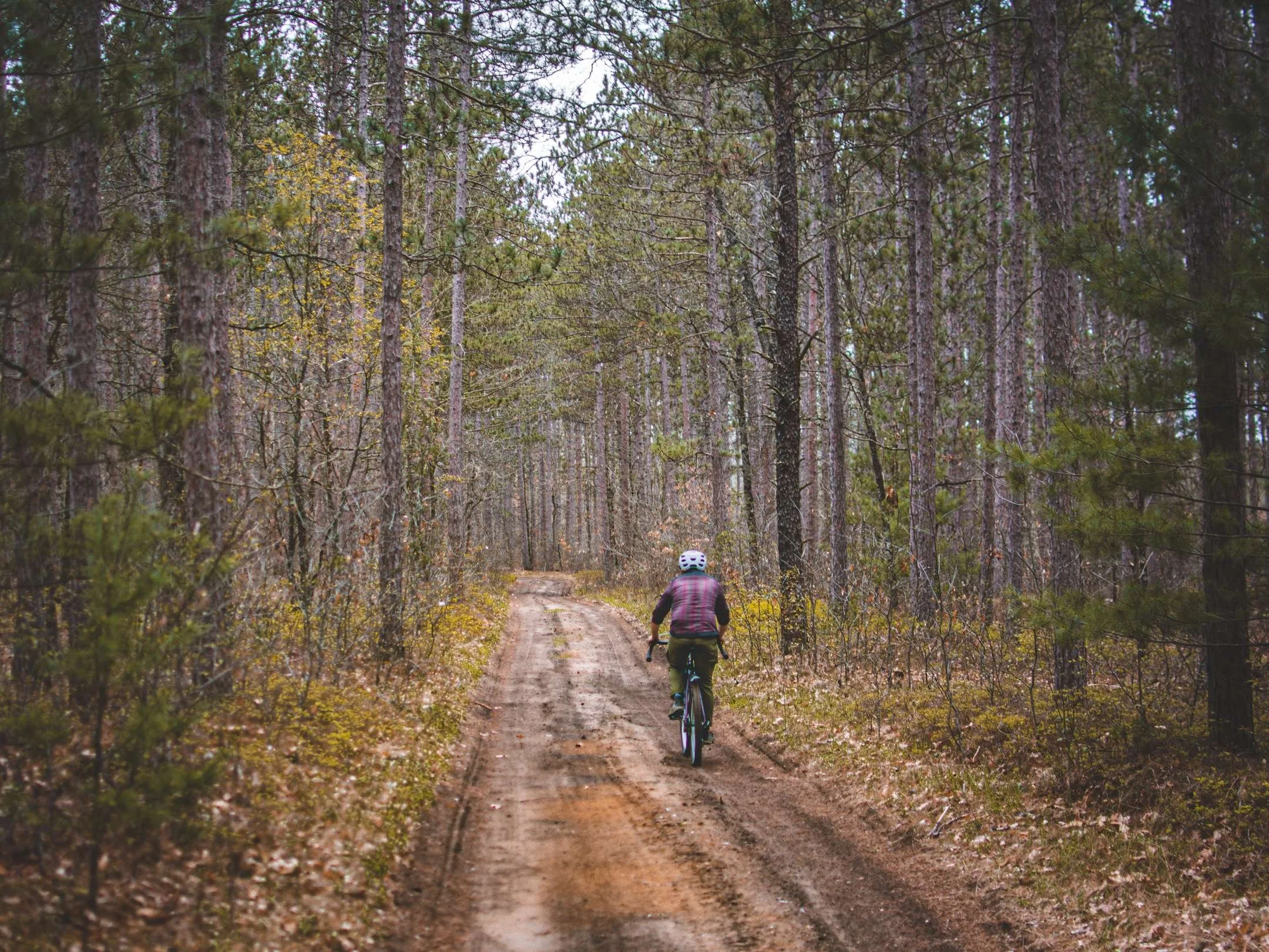 A brief introduction