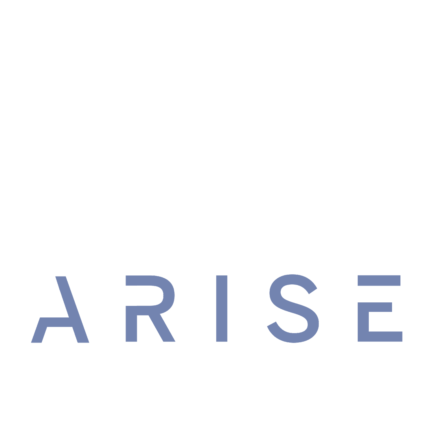 Arise Ventures