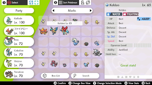 Pokémon Sword and Shield' IV checker: Where to find it and how it works