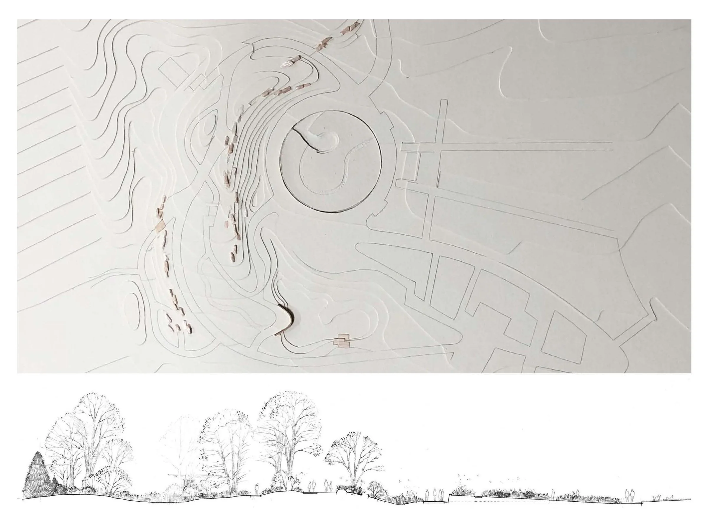 Pollinator decline — Didier Design Studio | Landscape Architecture