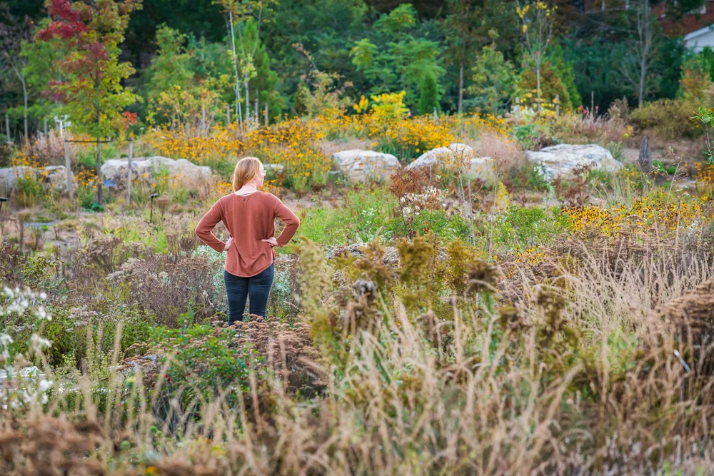Vision — Didier Design Studio | Landscape Architecture