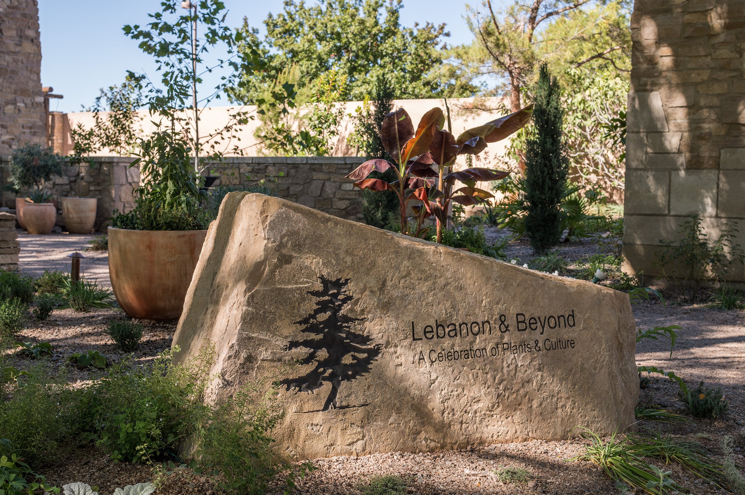ABQ_10.jpg
