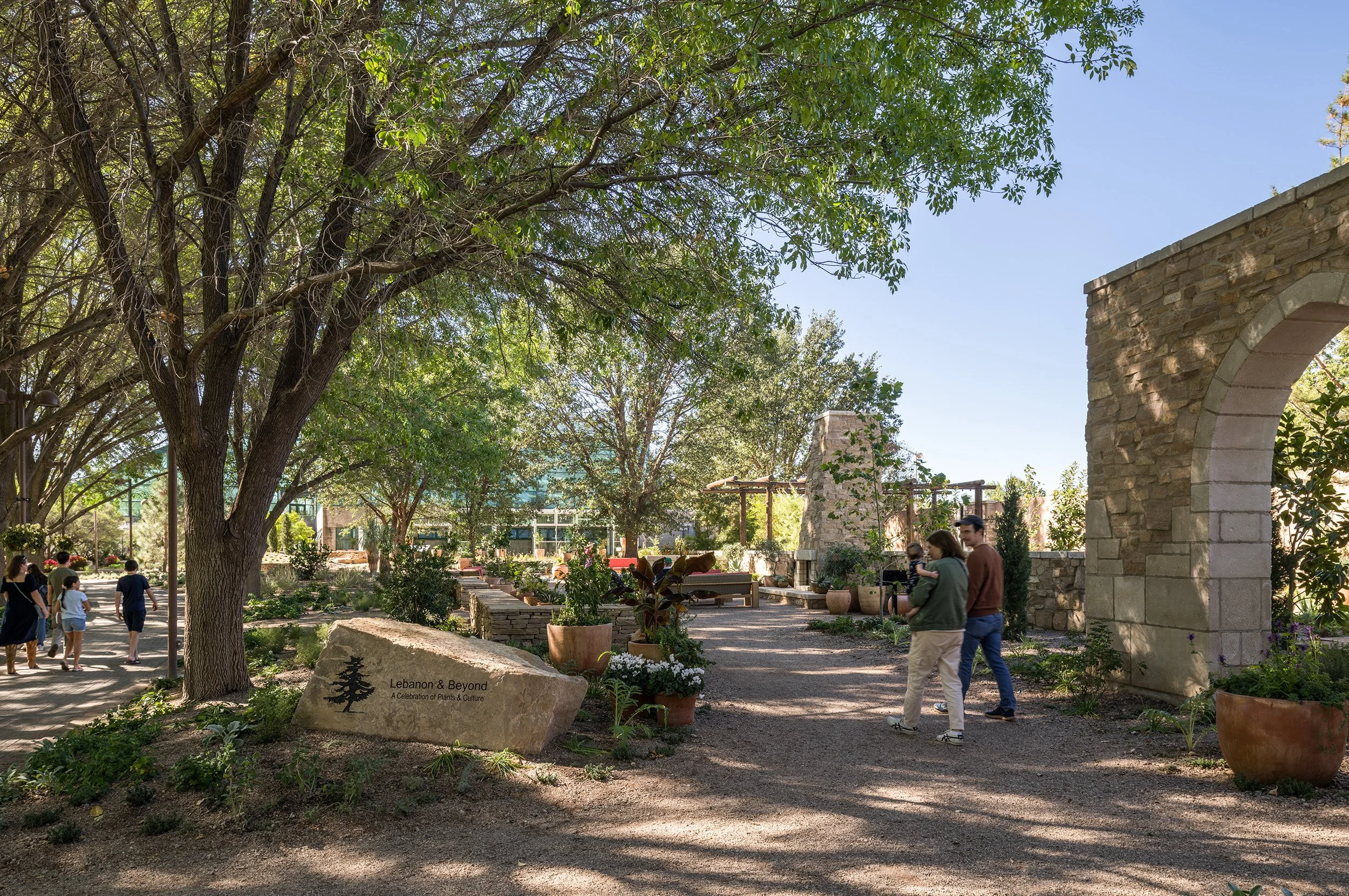 ABQ_9.jpg