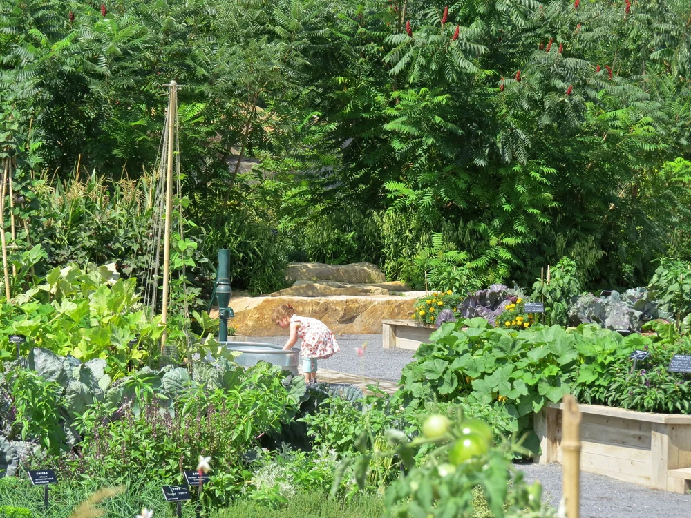 Re-Imagining Play — Didier Design Studio | Landscape Architecture
