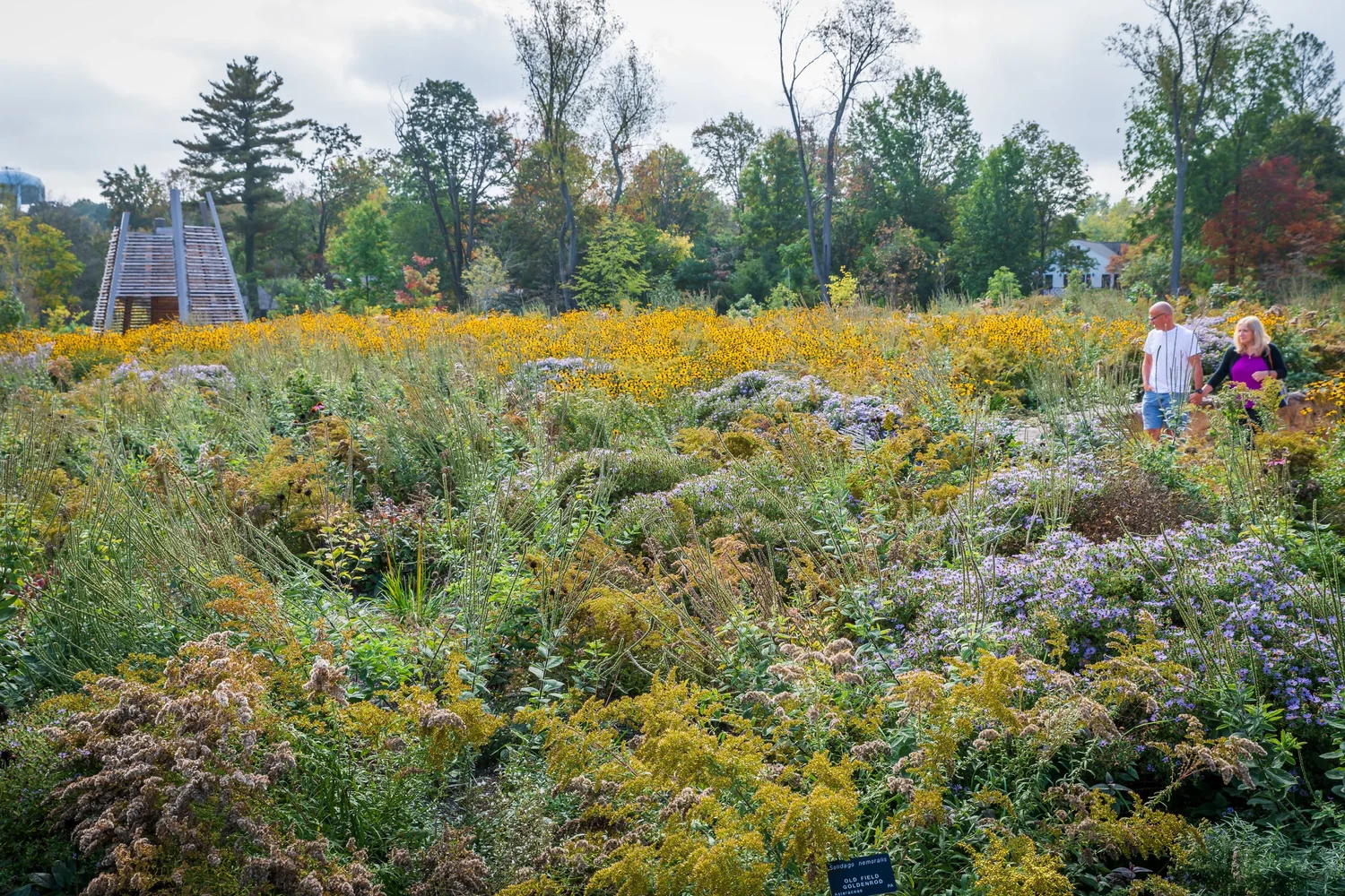 Pollinators and Bird Garden at Penn State — Didier Design Studio ...