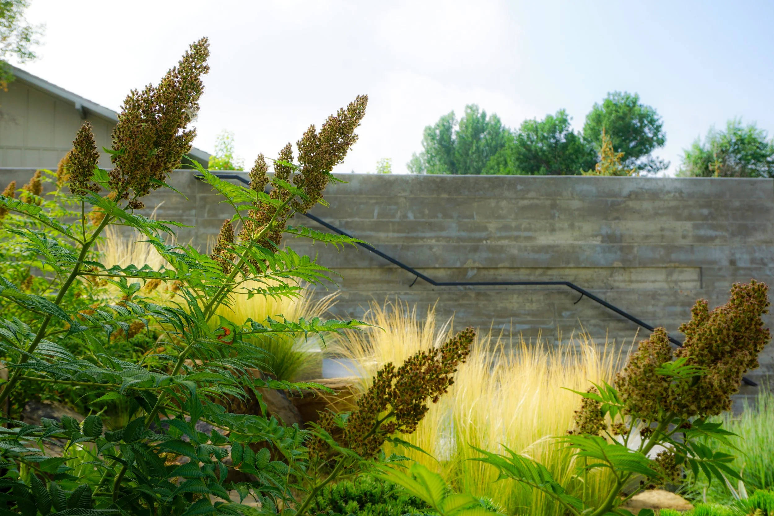 170727_Hopcal-WV Photos-166.JPG