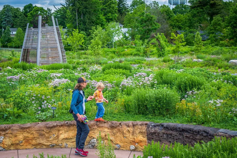 Pollinators and Bird Garden at Penn State — Didier Design Studio ...