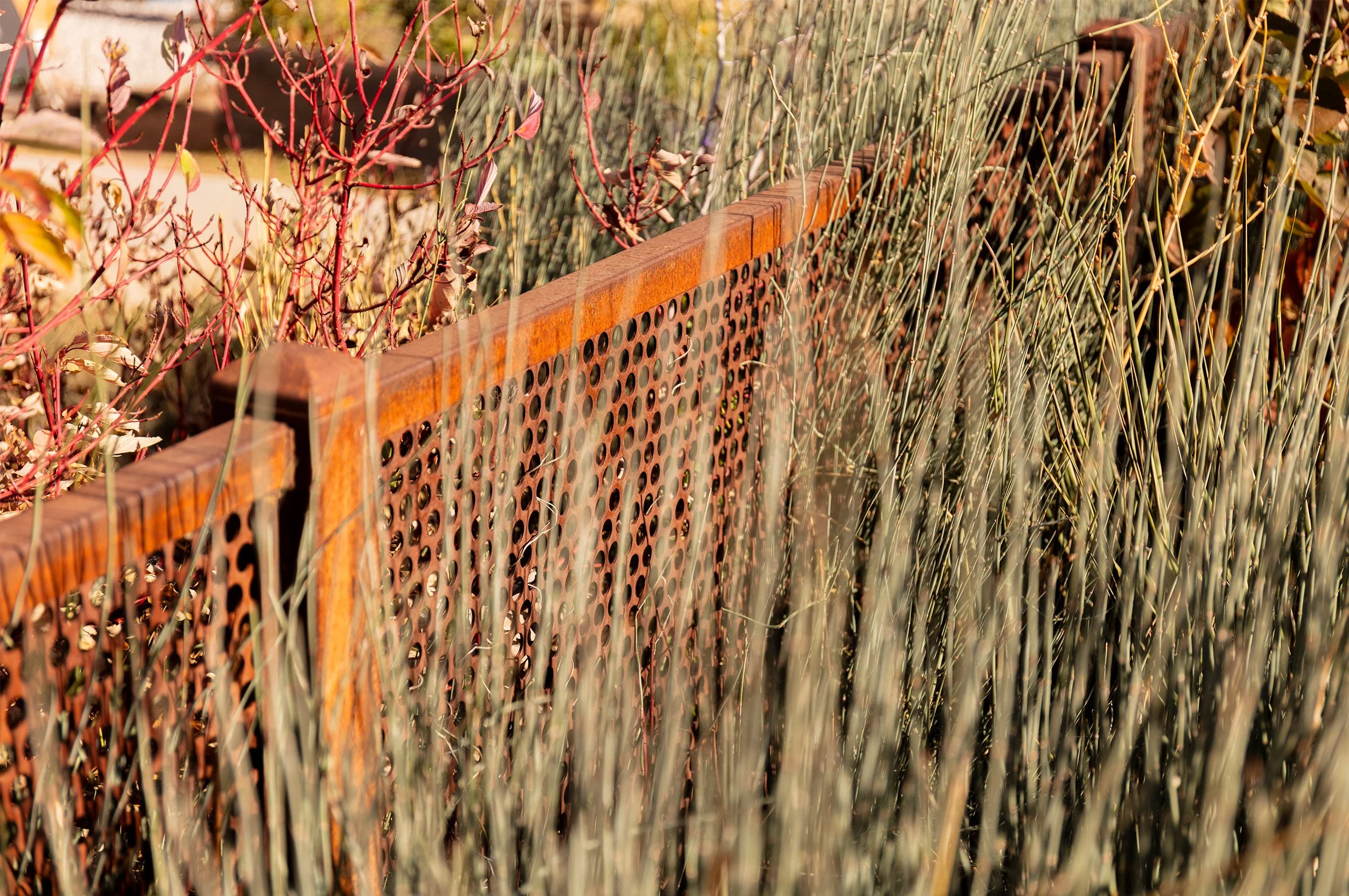 Wolverine Farm_5.jpg