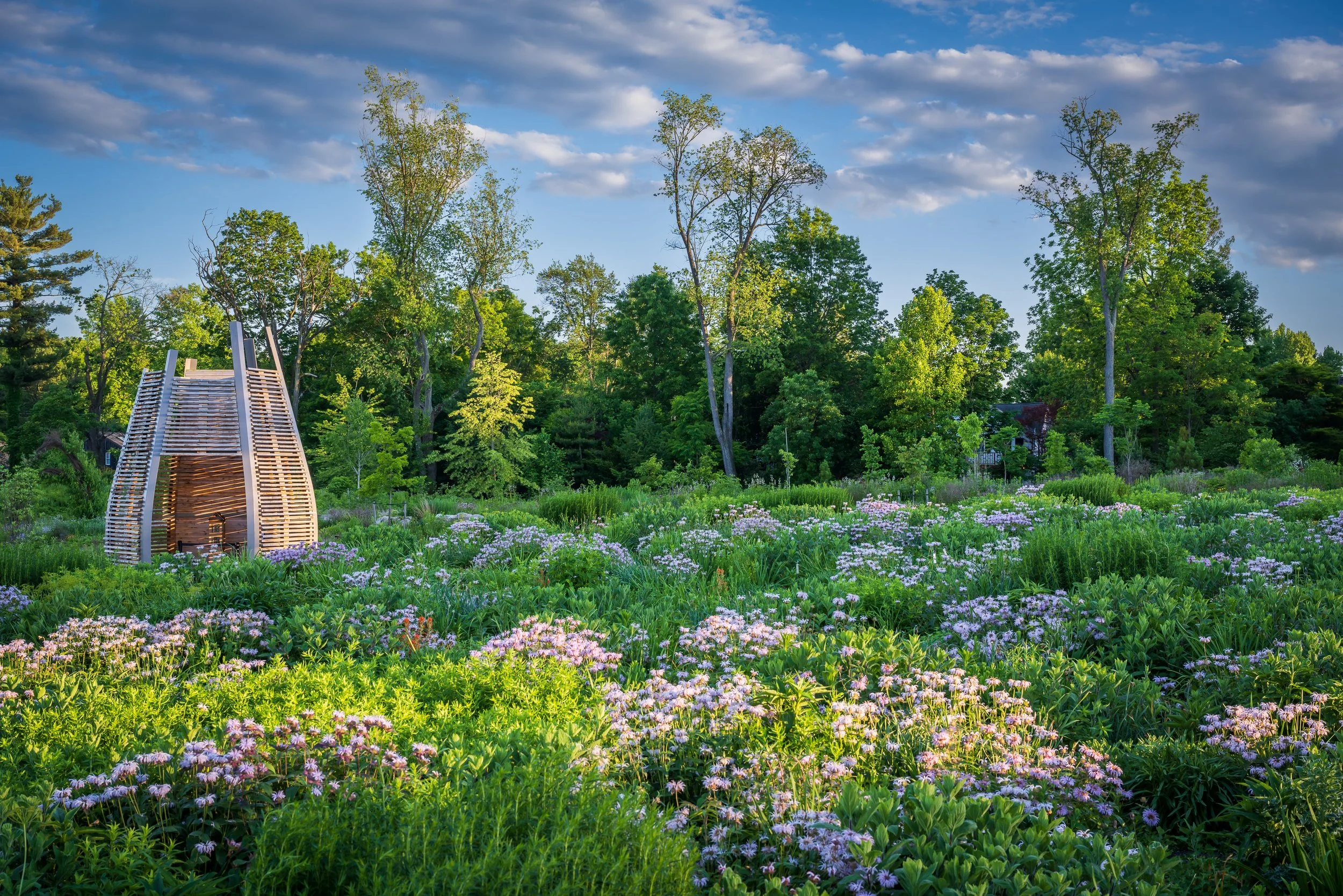 Pollinators and Bird Garden at Penn State — Didier Design Studio ...