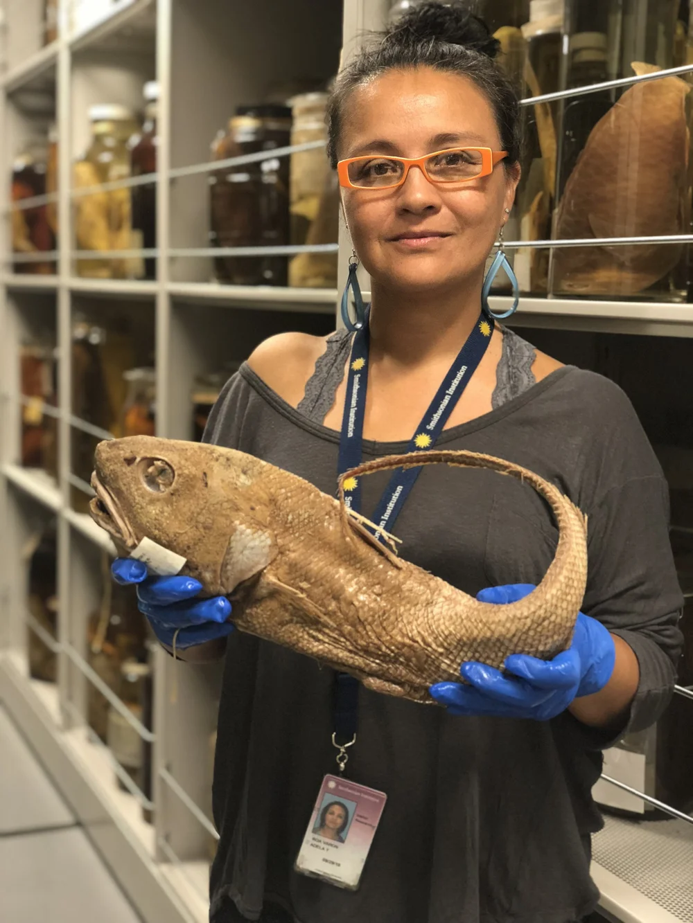 DEIB — American Society of Ichthyologists and Herpetologists