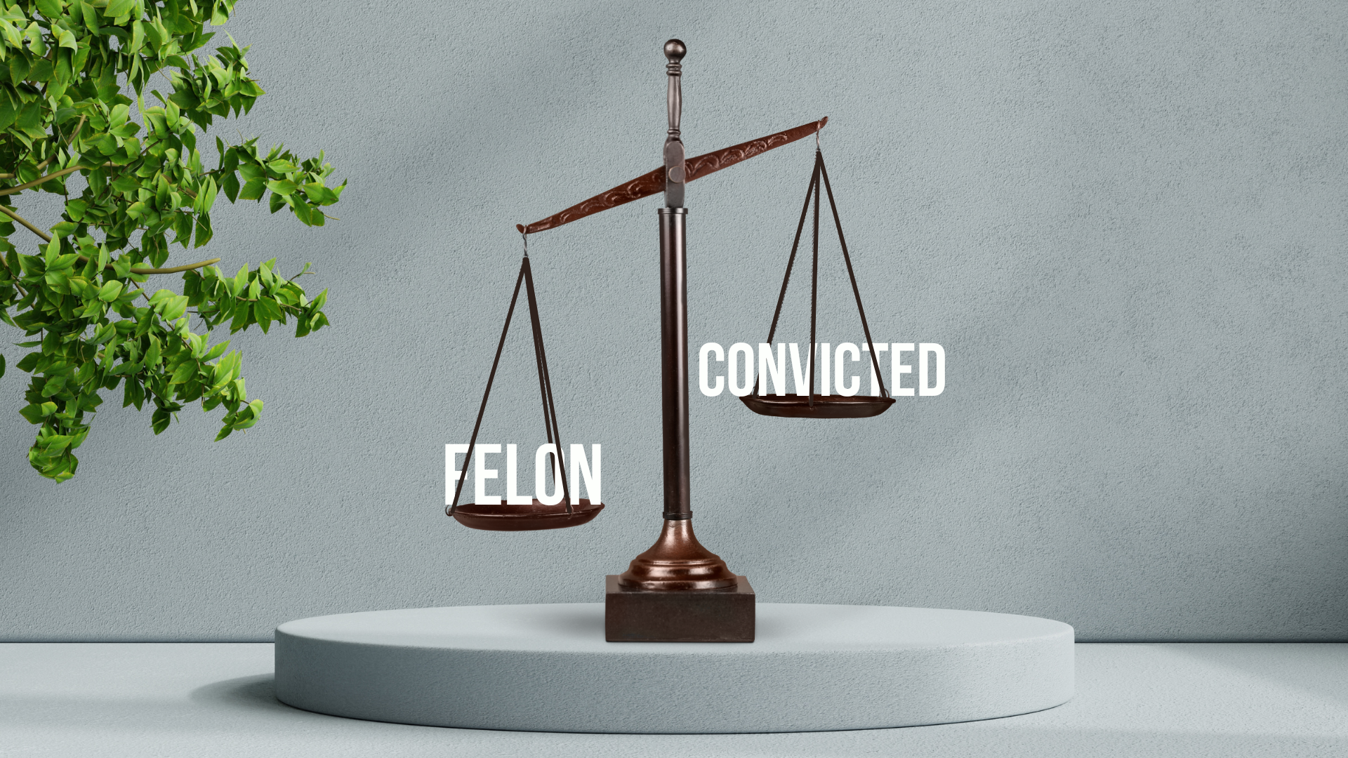 Should Donald Trump's biography lead with "convicted felon"?