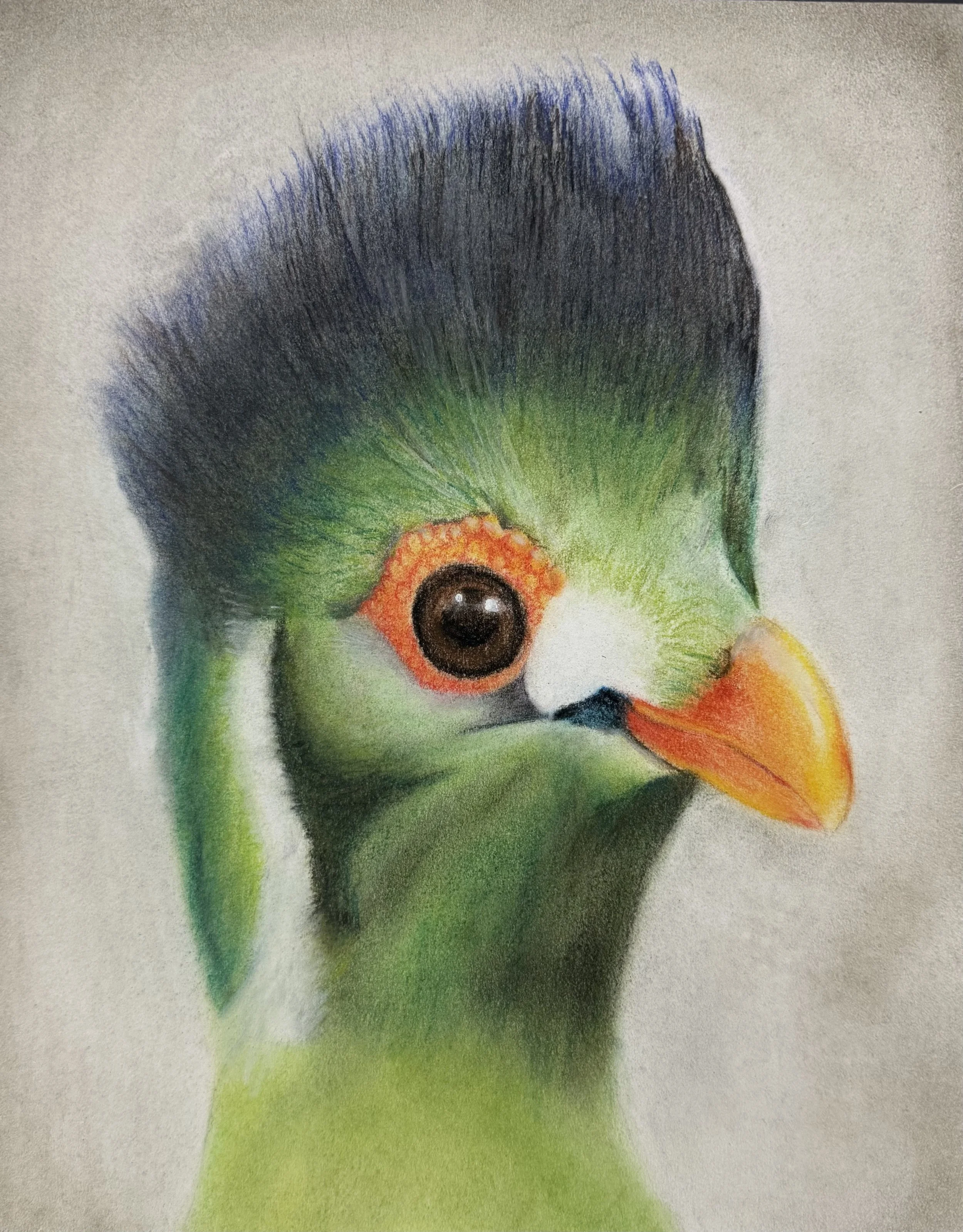 Chalk Pastel, Age 13