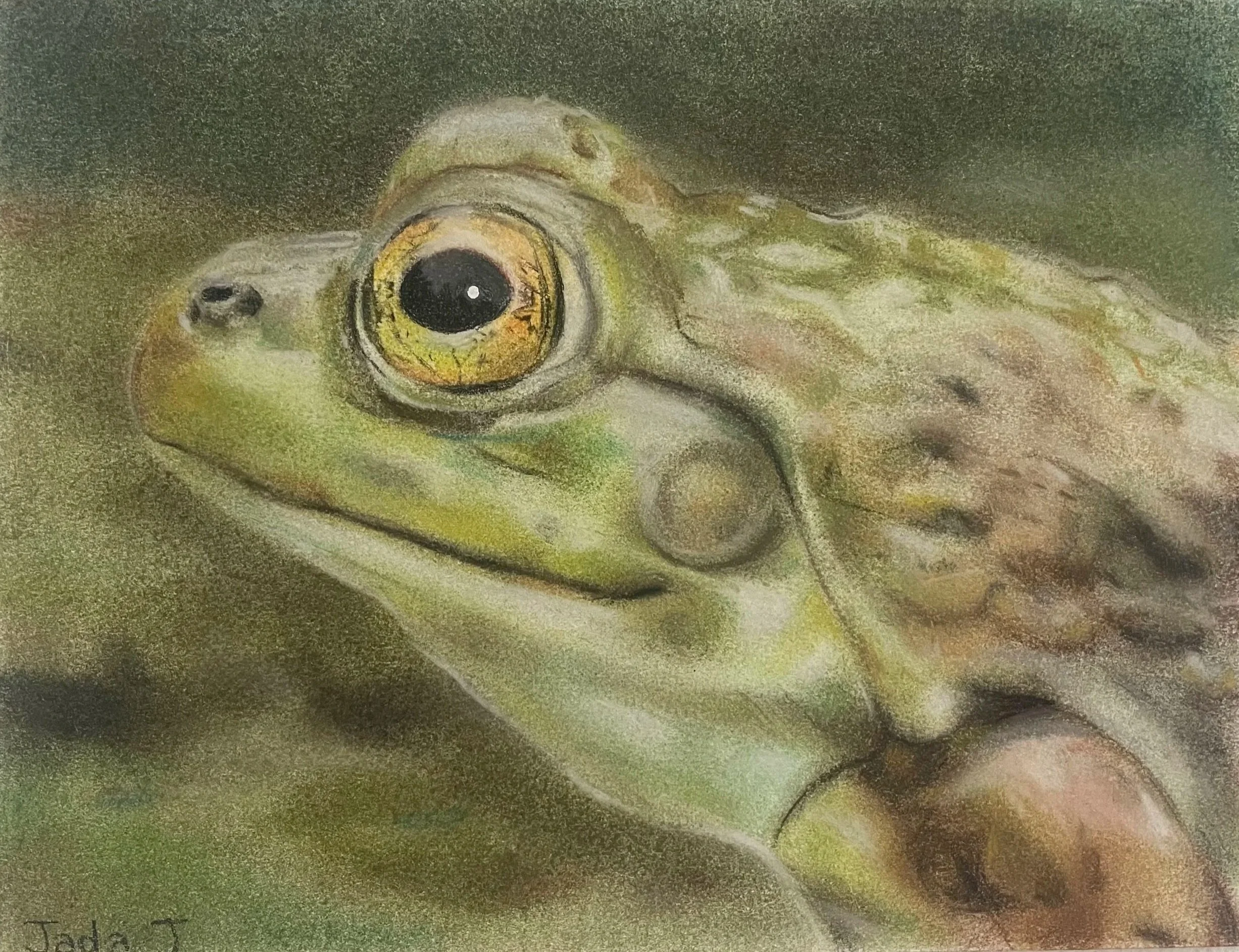 Age 12, Chalk Pastel