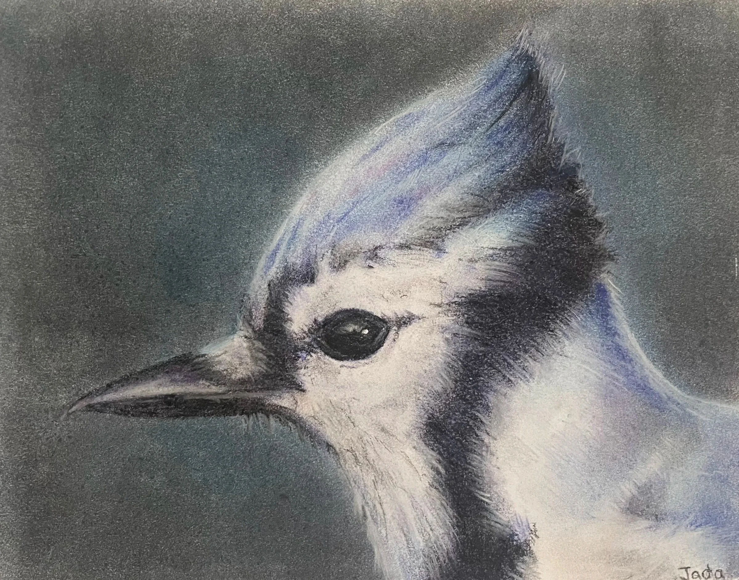 Age 12, Chalk Pastel