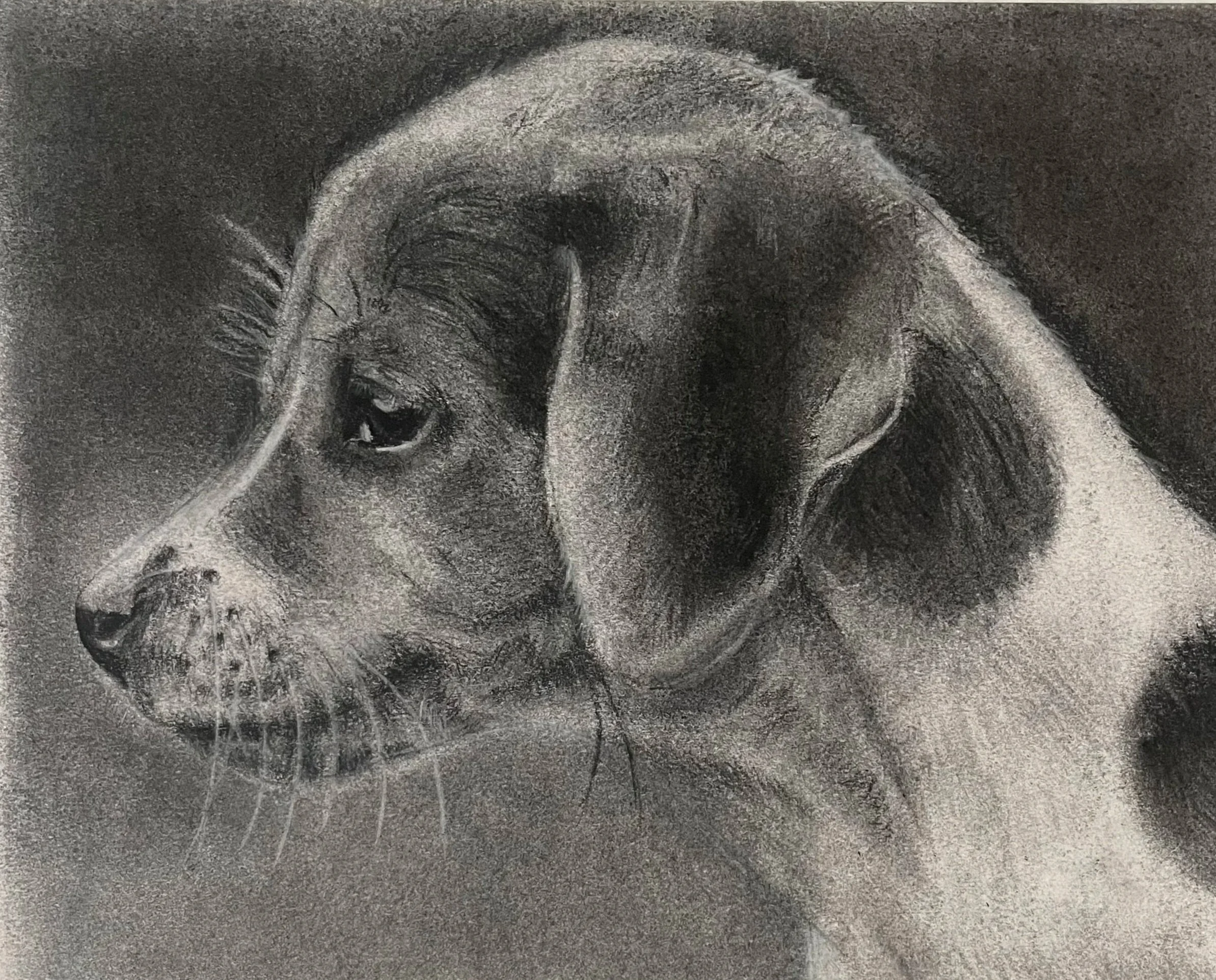 Age 12, Charcoal