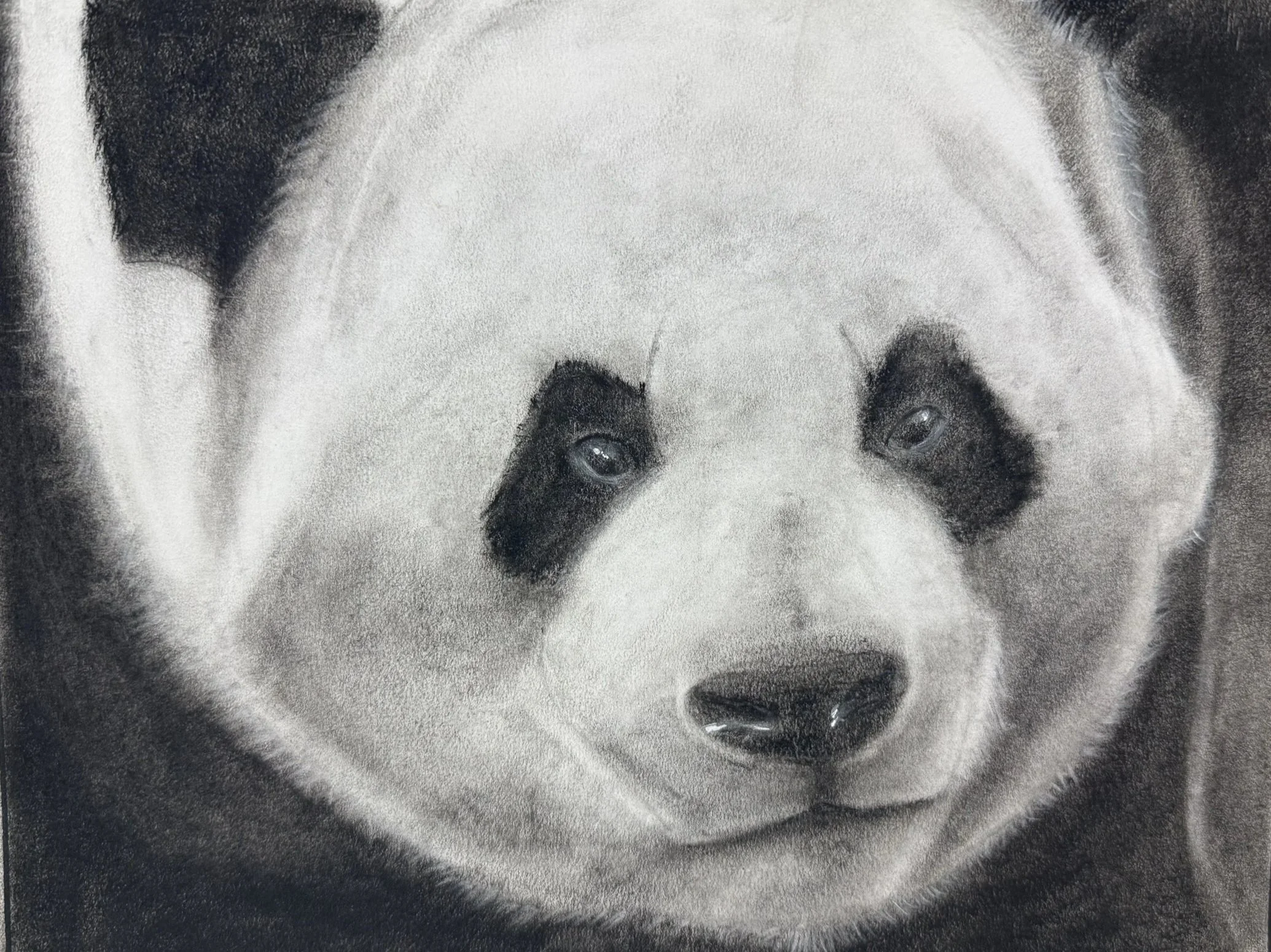 Charcoal, Age 14