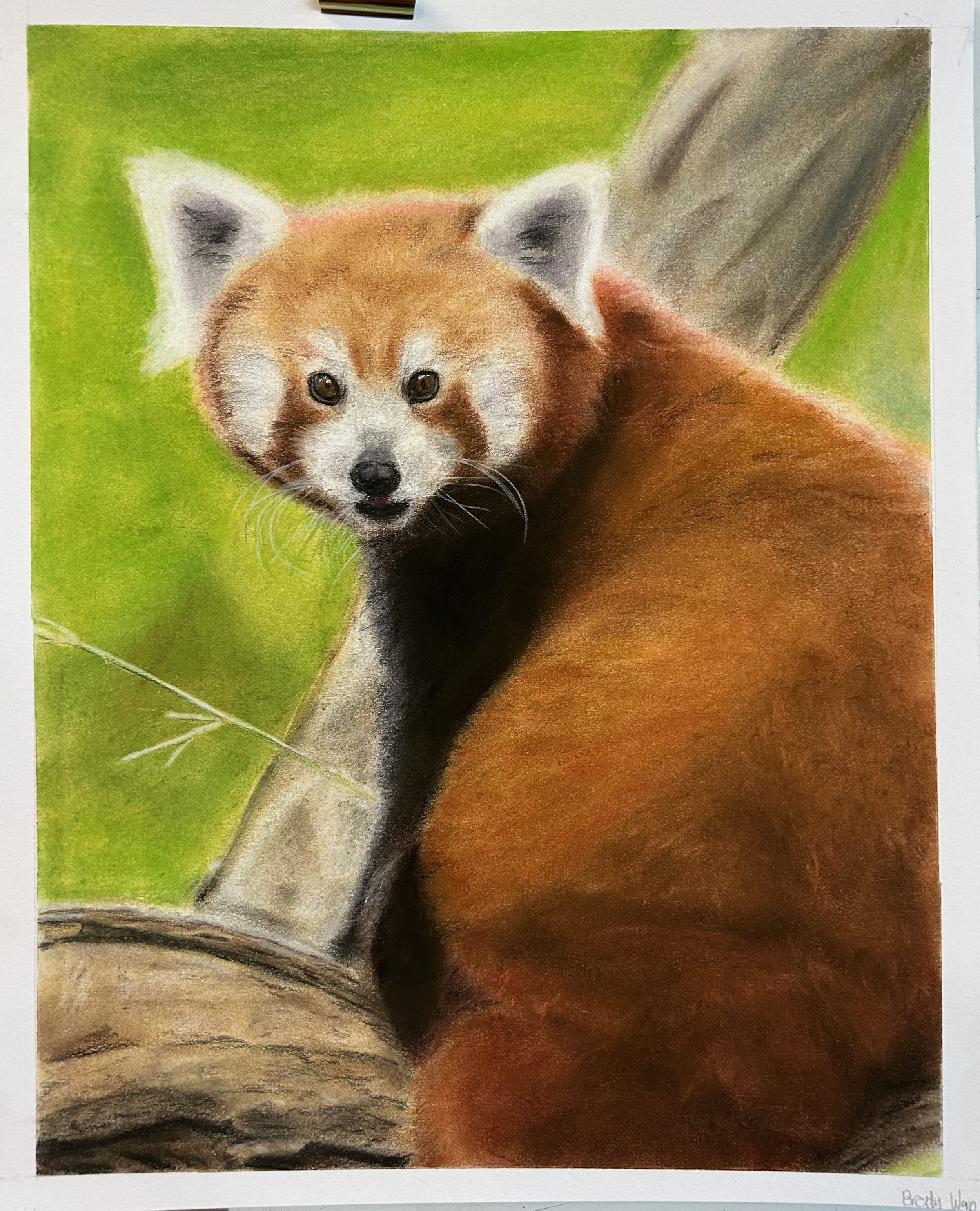 Age 16, Pastel
