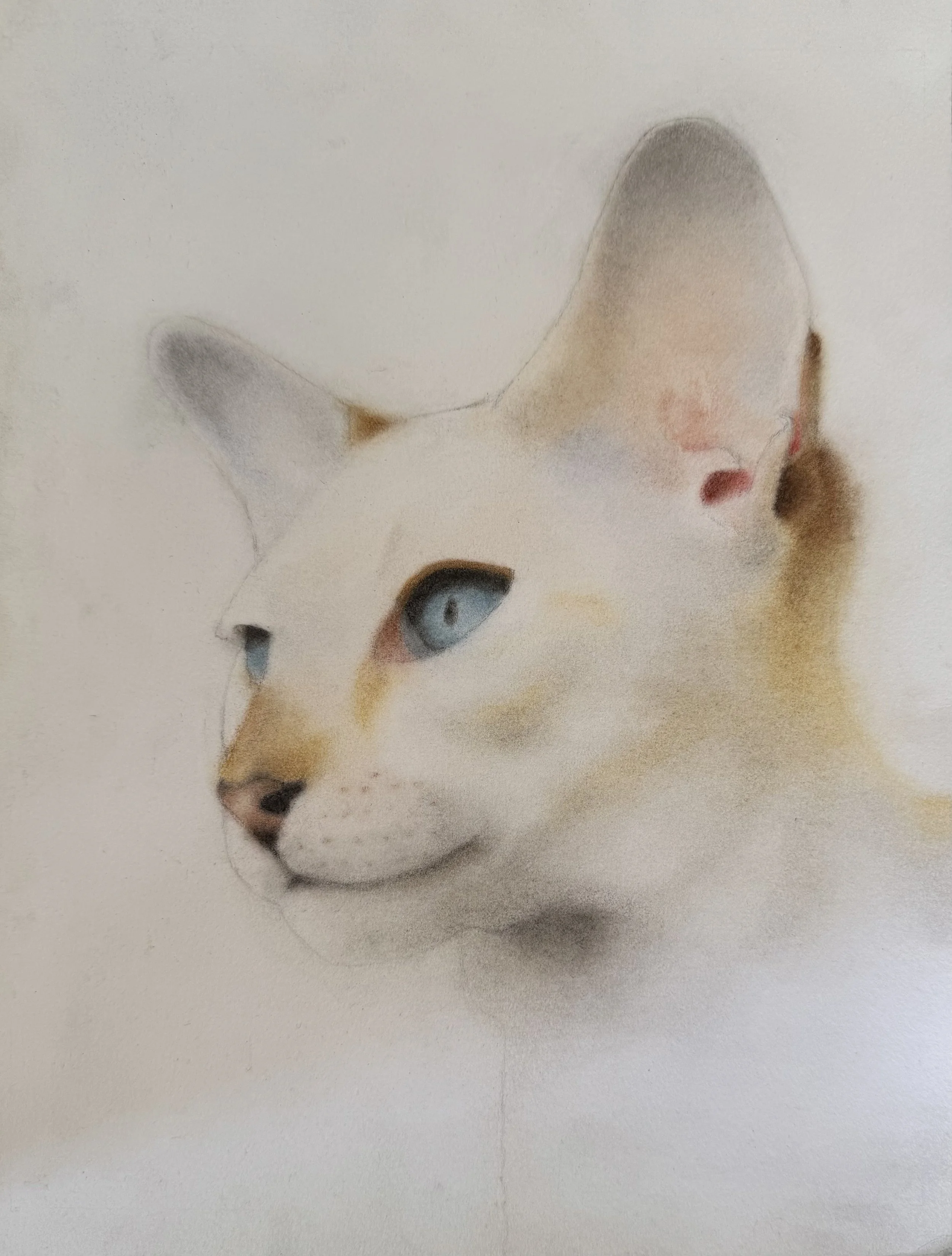 Pastel, Age 14