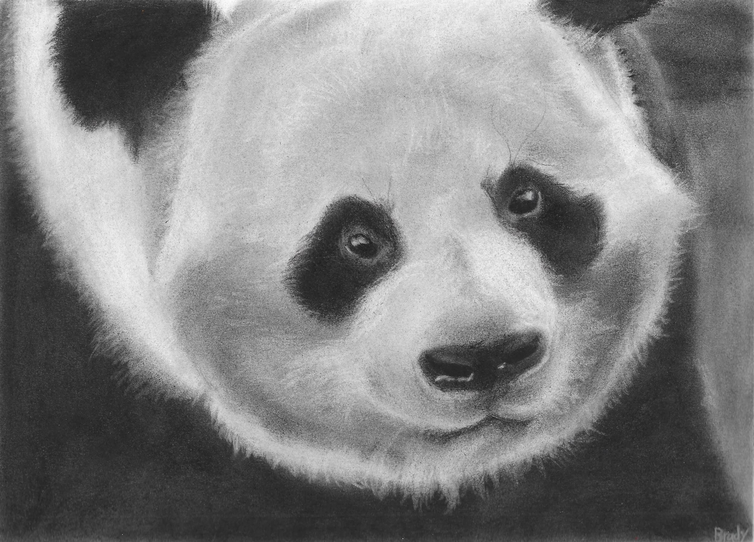 Age 14, Charcoal