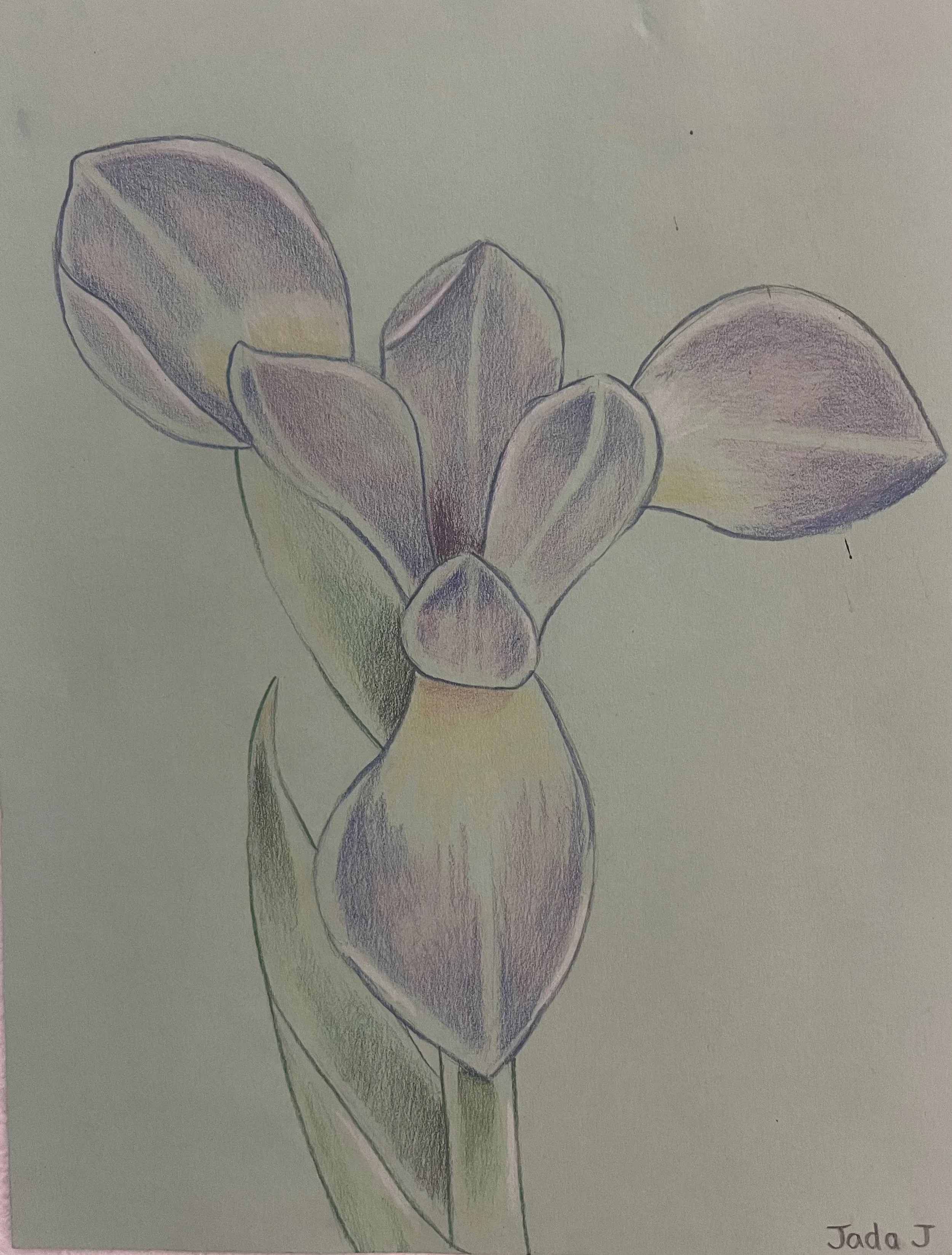 Age 10, Colored Pencil