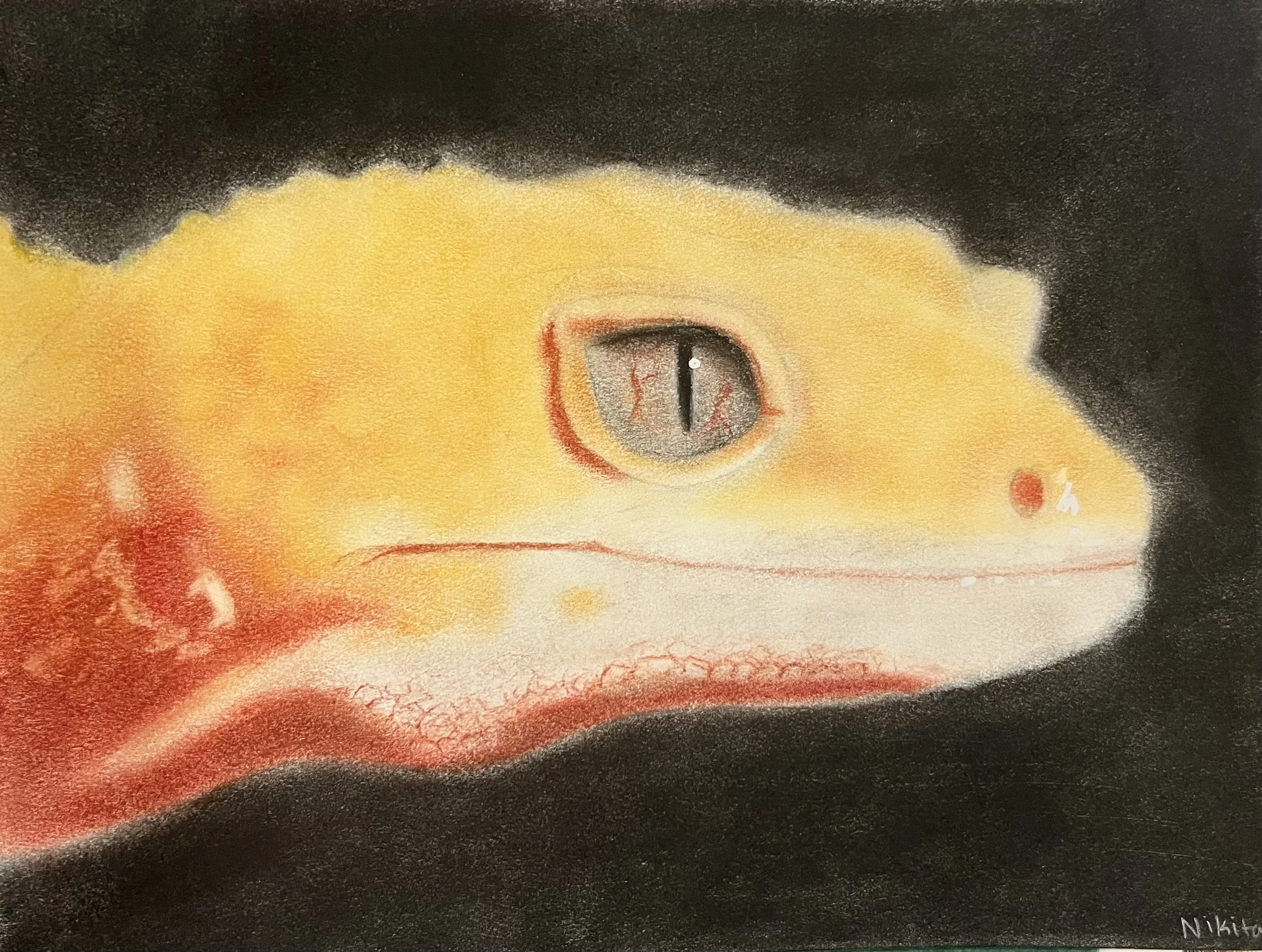 Age 12, Pastel
