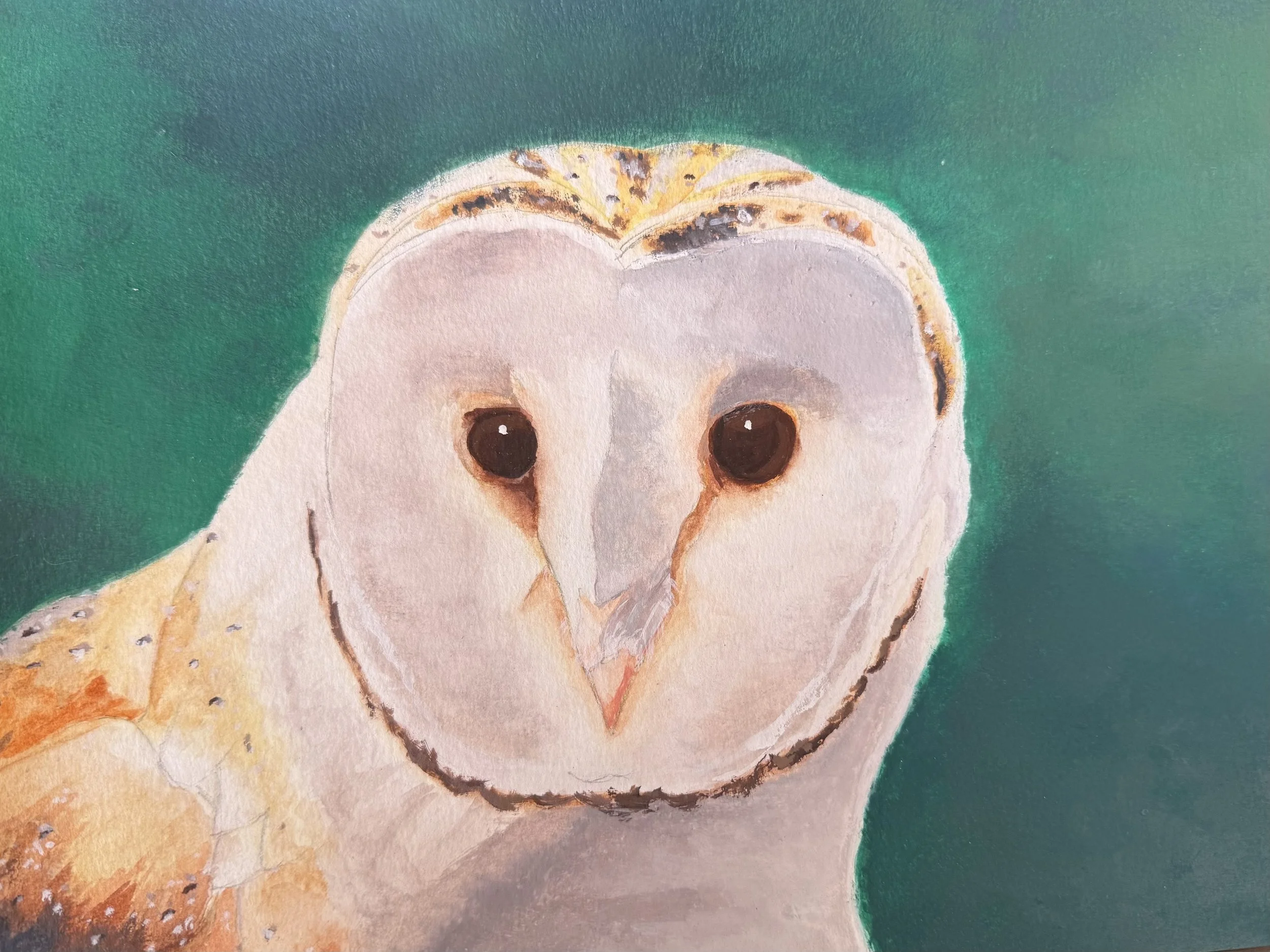 Watercolor, Age 14