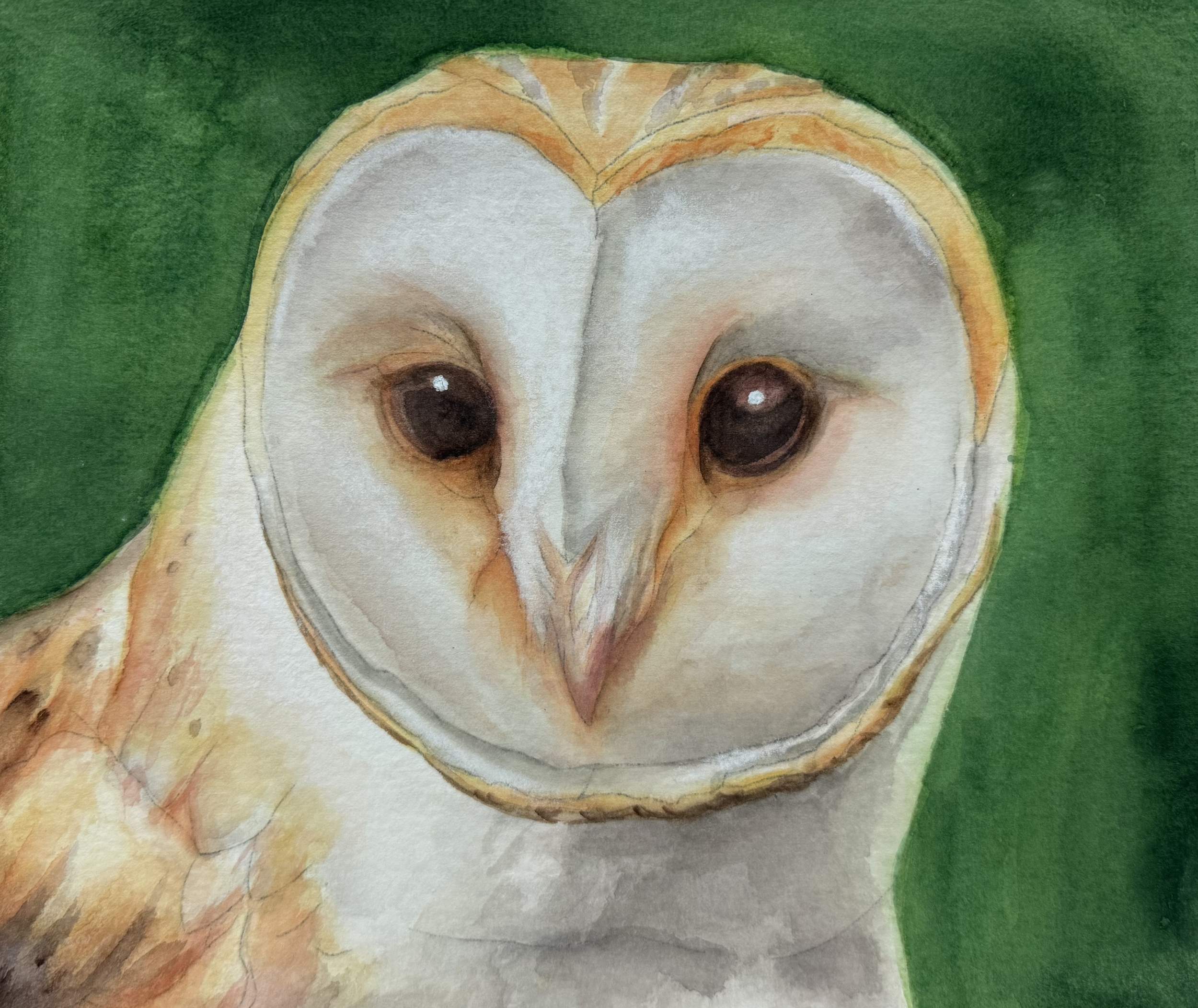Watercolor, Age 14