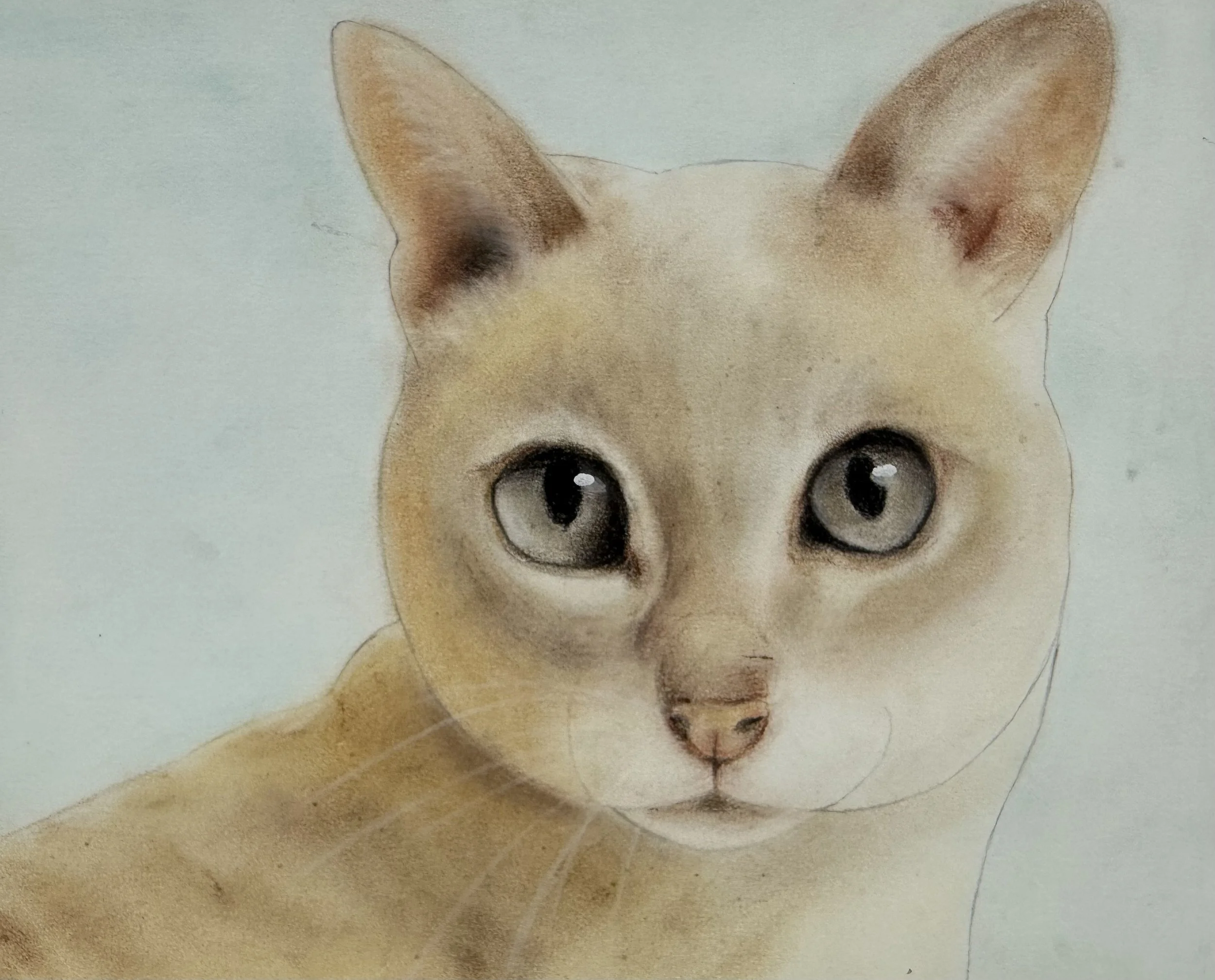 Chalk Pastel, Age 14