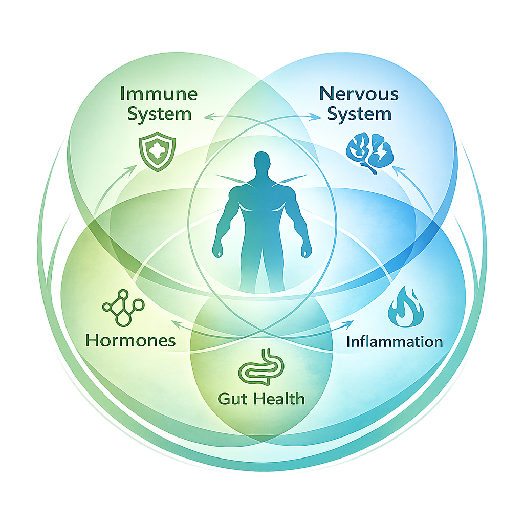 Functional medicine infographic showing interconnected systems surrounding a central male figure, illustrating whole-body root cause approach to POIS and chronic symptoms