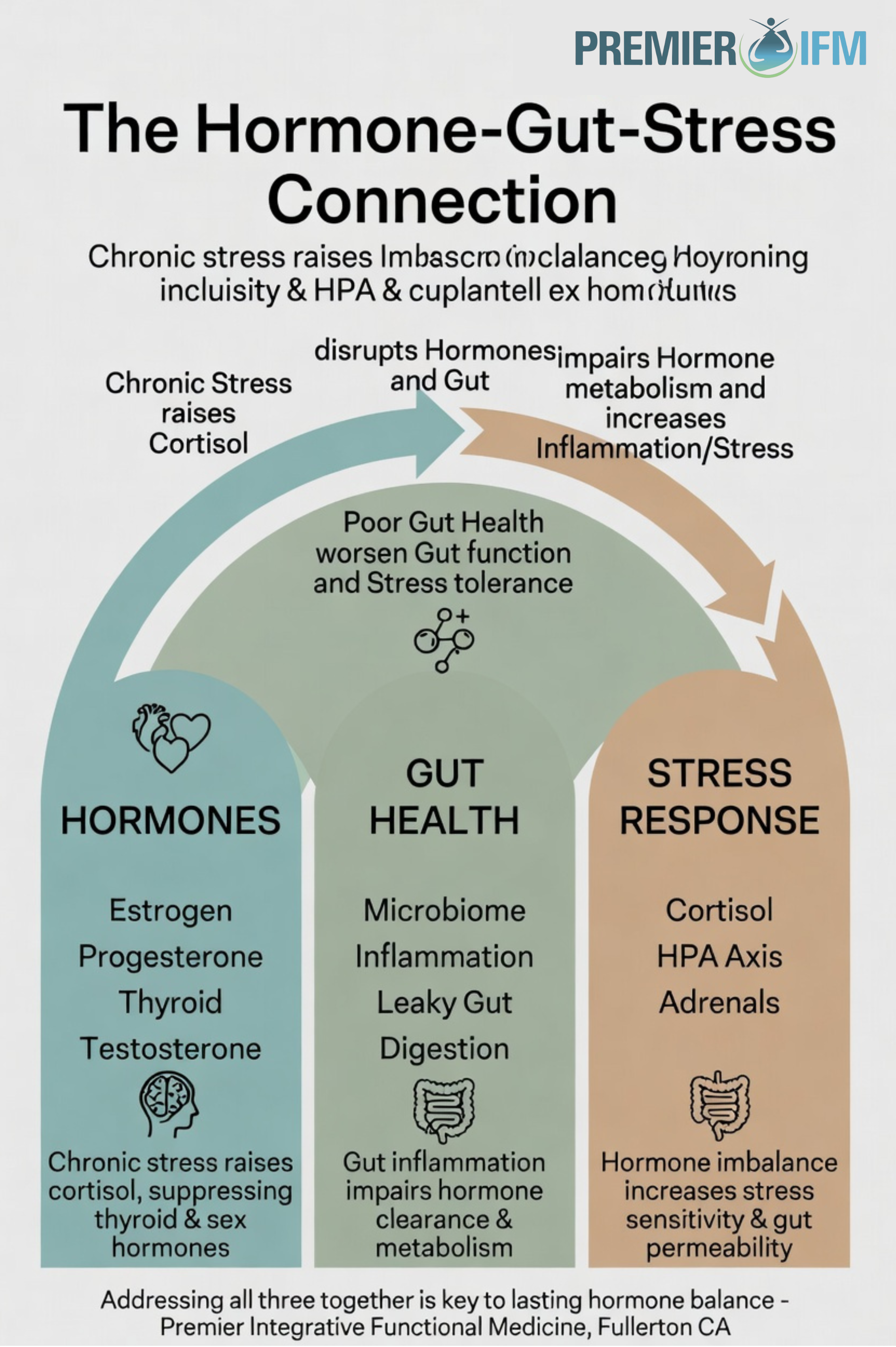 Diagram showing the interconnected hormone gut stress axis in functional medicine – how chronic stress, gut health, and hormones influence each other – Premier Integrative Functional Medicine Fullerton California