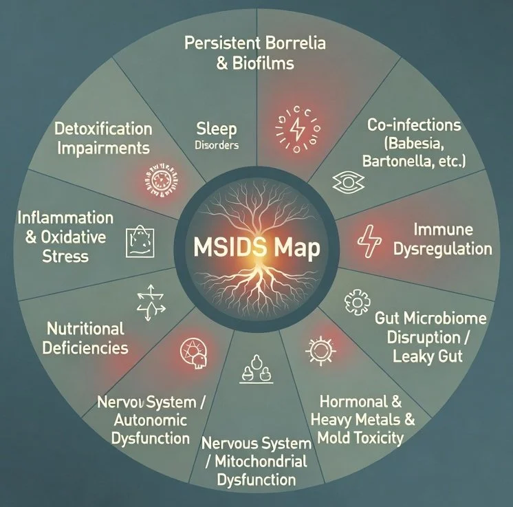 MSIDS Map showing the 16 key factors of chronic Lyme disease and complex infections including biofilms, co-infections, immune dysfunction, gut issues, hormones, toxins, and more – root cause approach