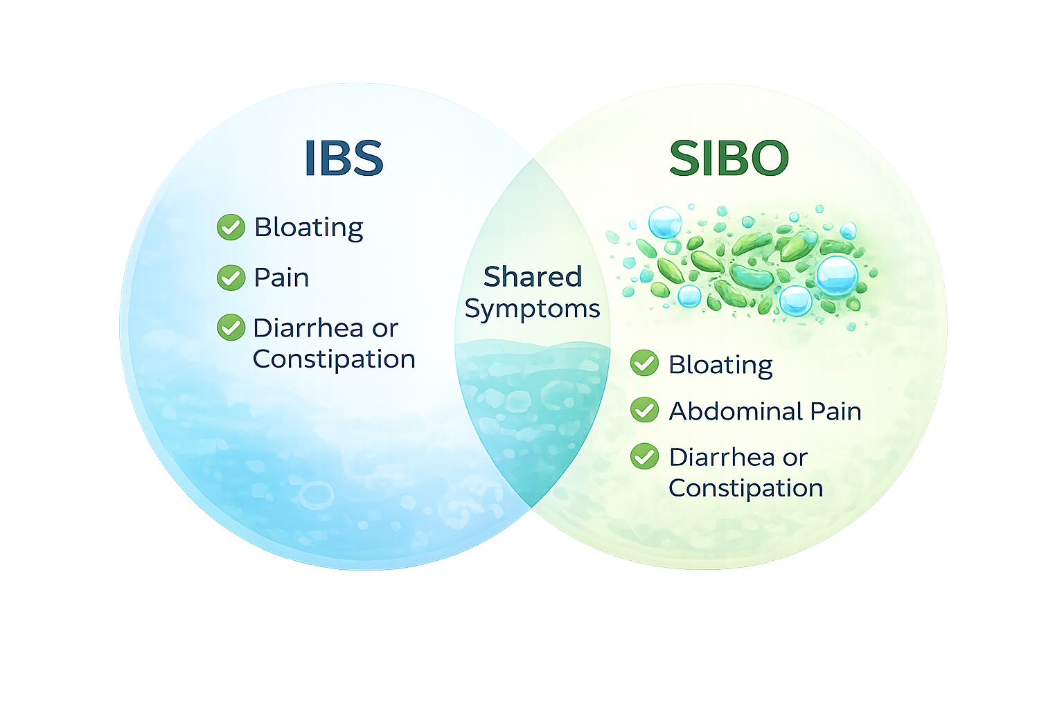 SIBO vs IBS Venn diagram showing shared symptoms like bloating, pain, and diarrhea or constipation, highlighting bacterial overgrowth as a root cause of IBS-like symptoms