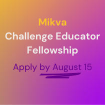 Apply now to the Mikva Challenge Educator Fellowship!