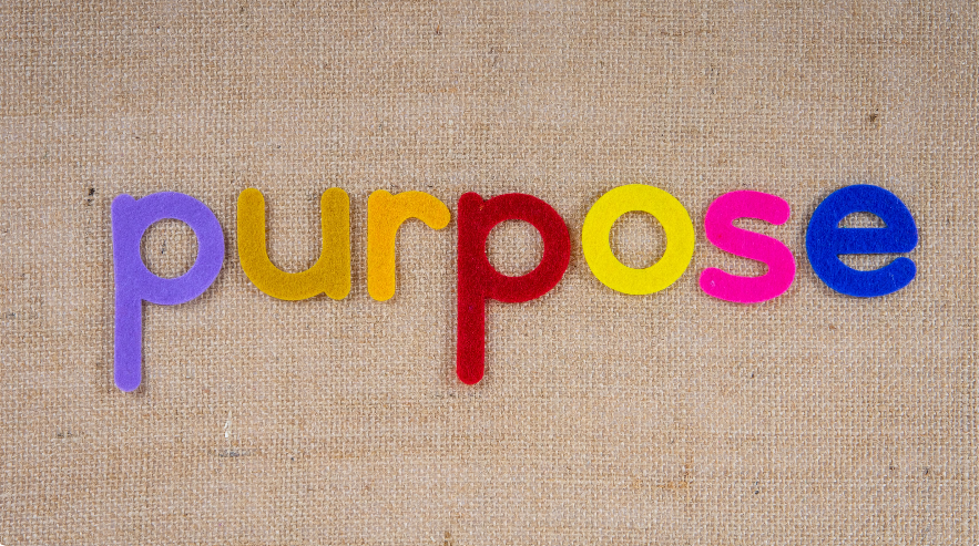 More Than a Job: How to Build a Career with Purpose