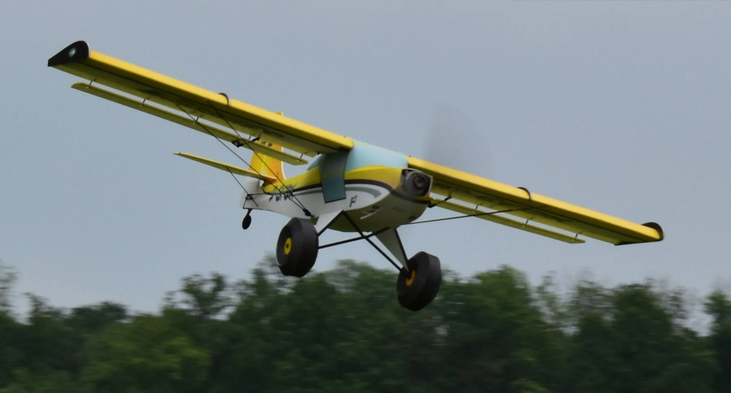 Kitfox 1.jpg