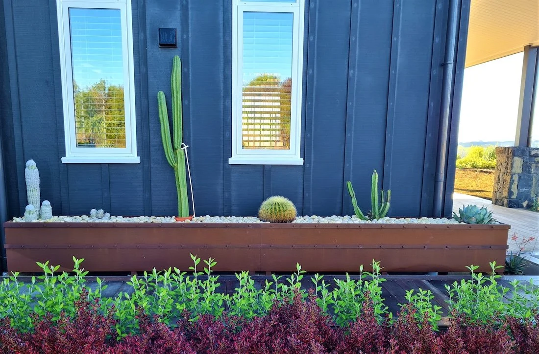 corten steel planter box outside a blue house with green and purple plants - Auckland