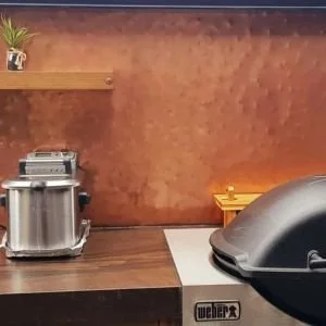 A kitchen countertop with a large silver rice cooker on the left and a black portable grill on the right, against an orange textured wall with a wooden shelf and a potted plant above.