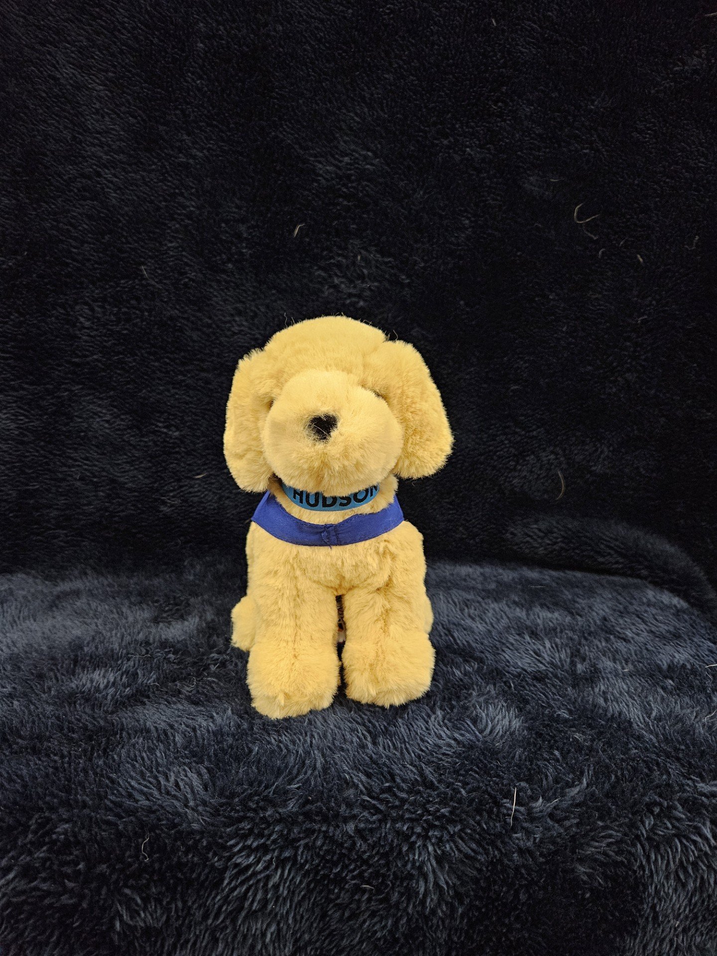 hudson plush.jpg