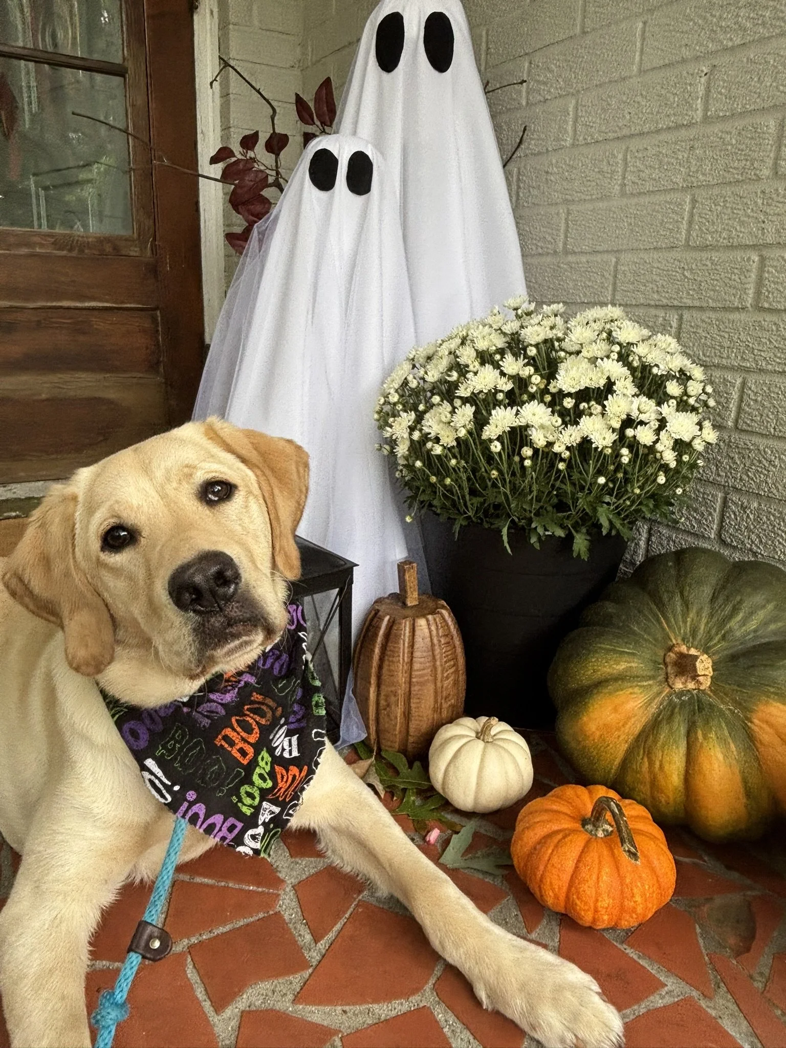 October 2025 Newsletter