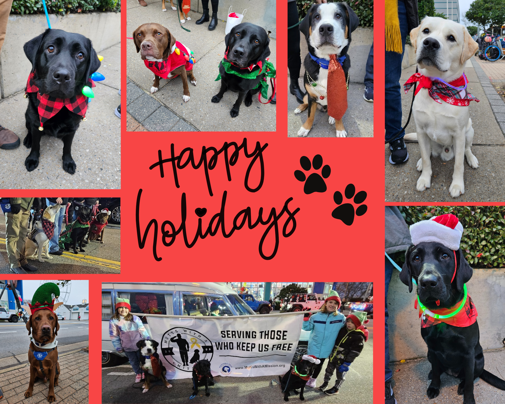 December 2025 Newsletter