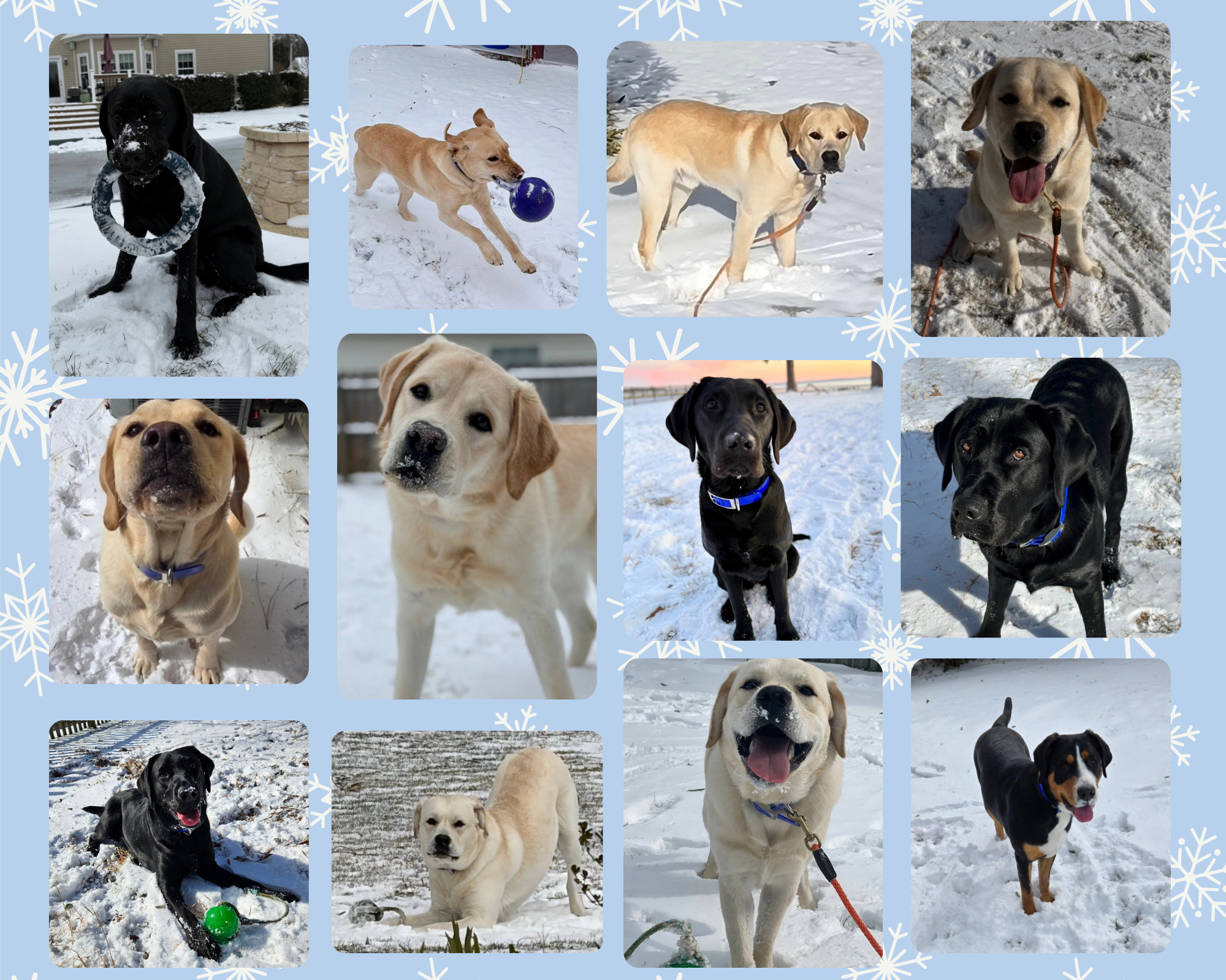 February 2026 Newsletter